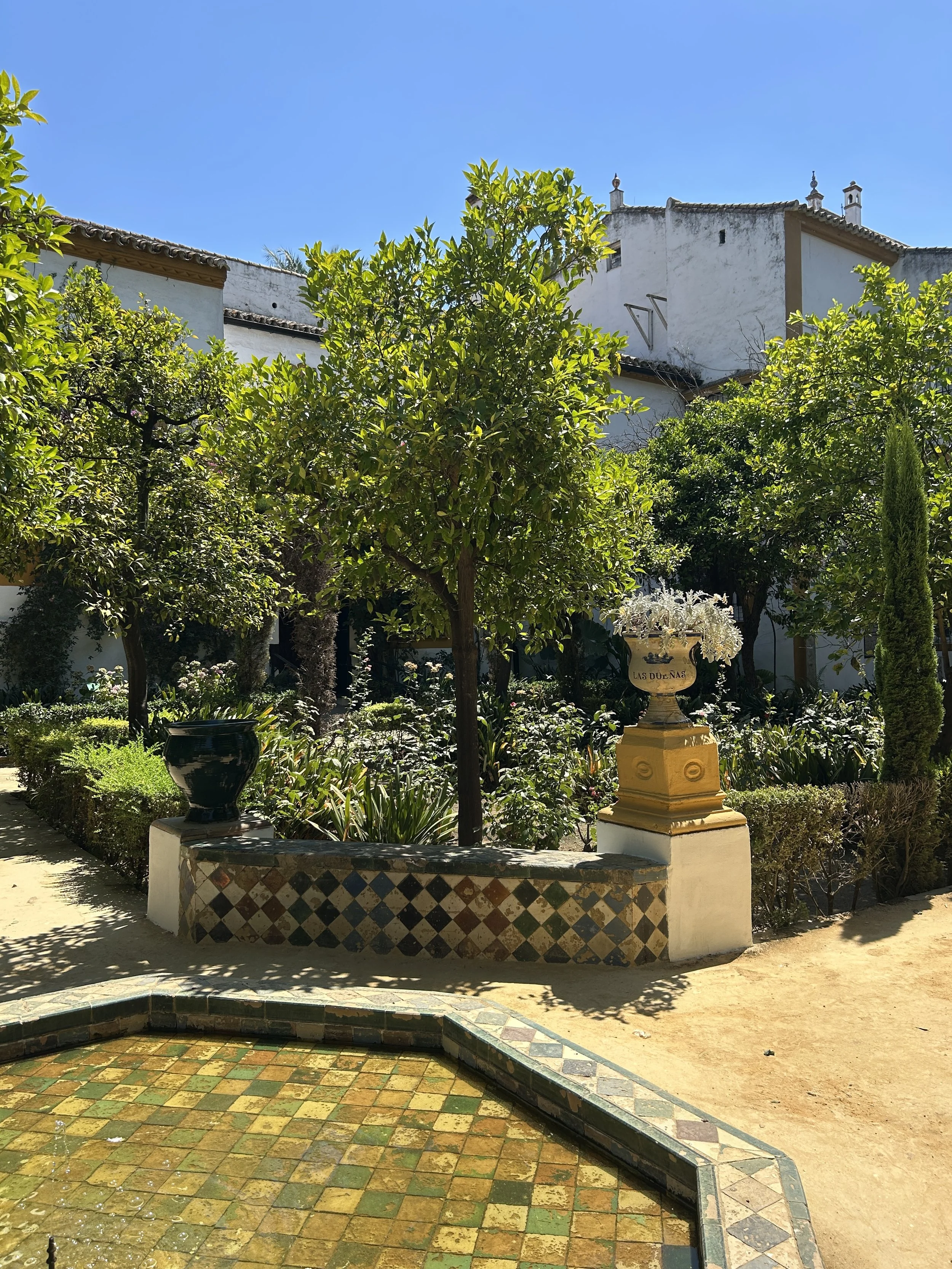 IMG_6111.jpeg
