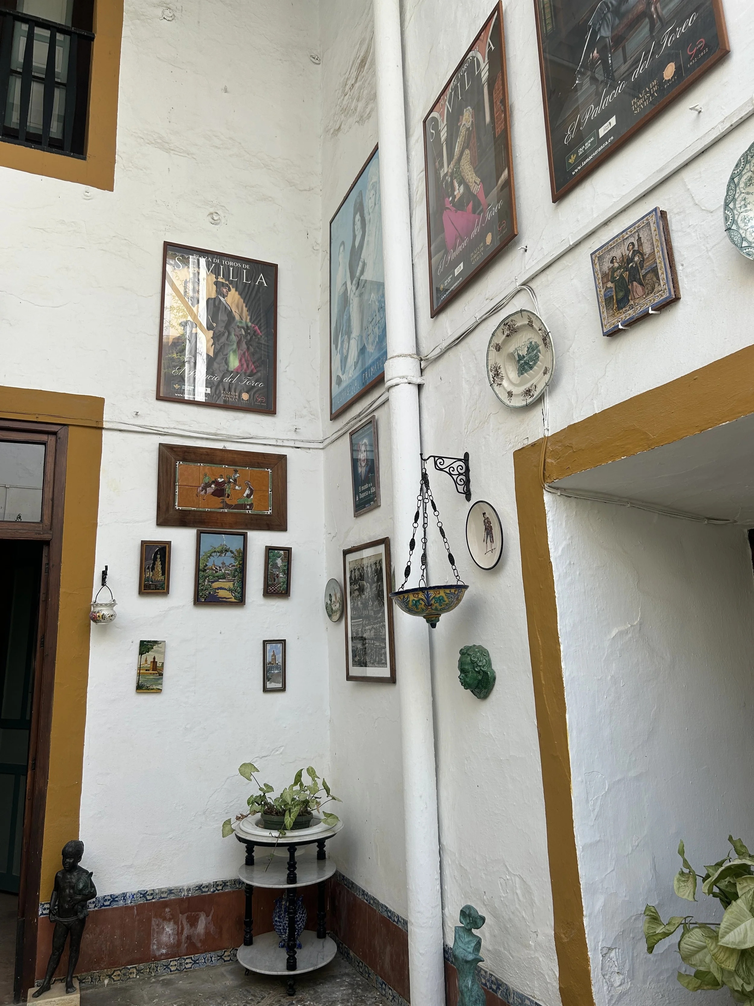 IMG_6123.jpeg