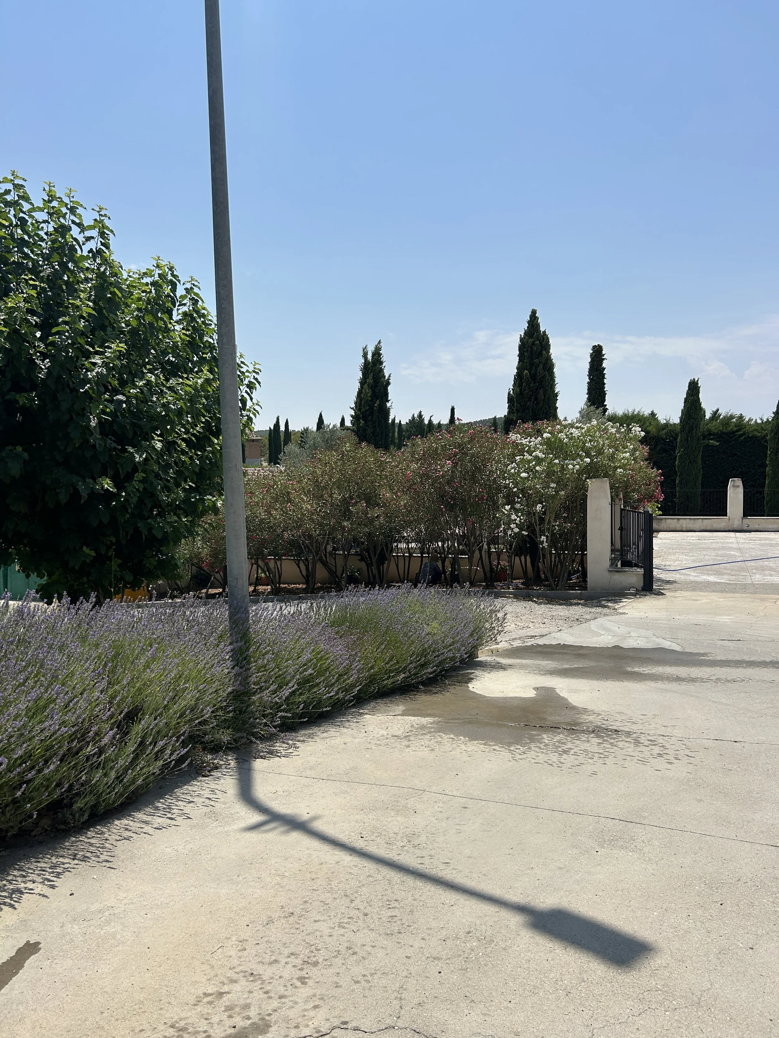 IMG_6244.jpeg