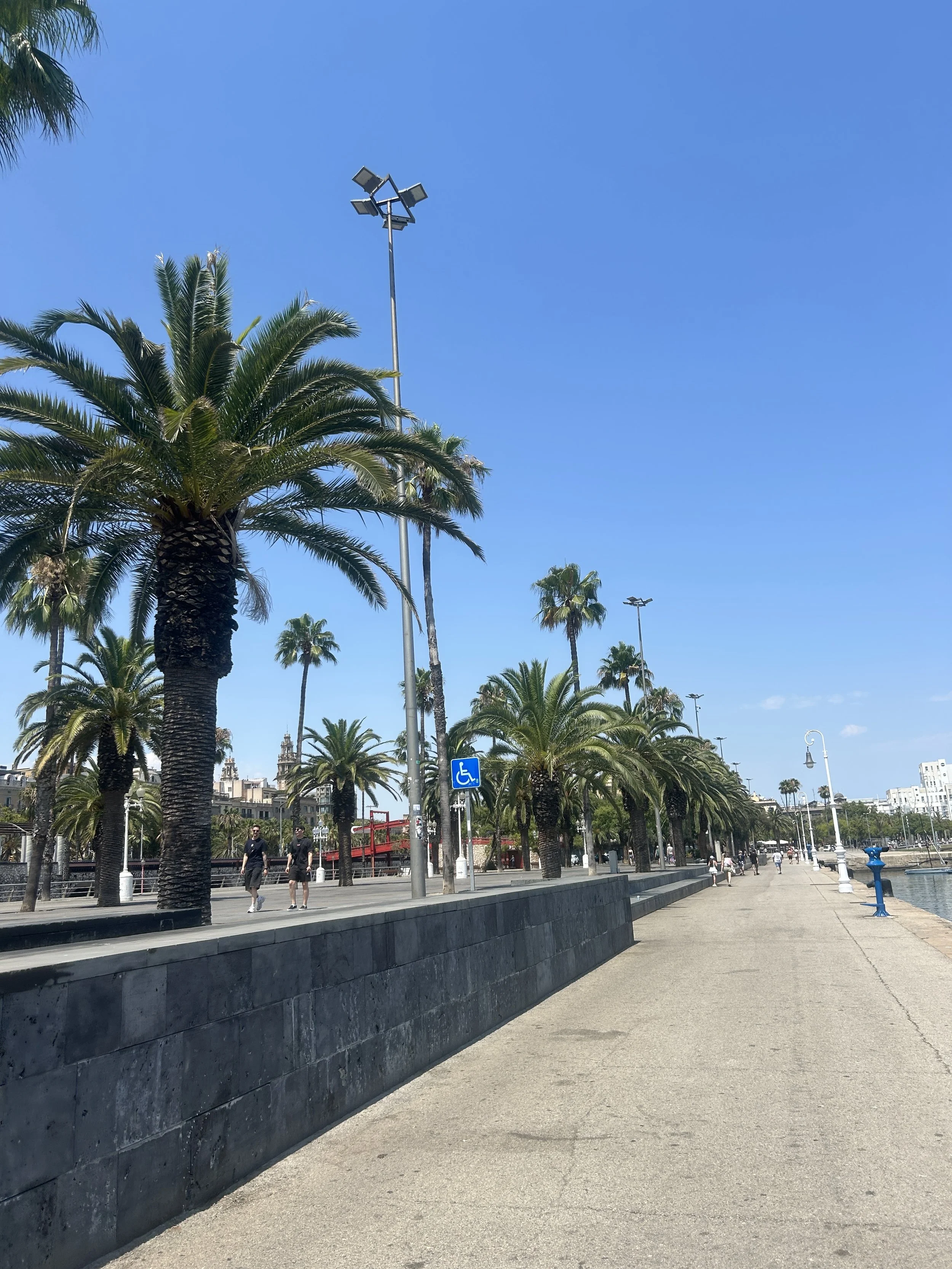 IMG_6302.jpeg