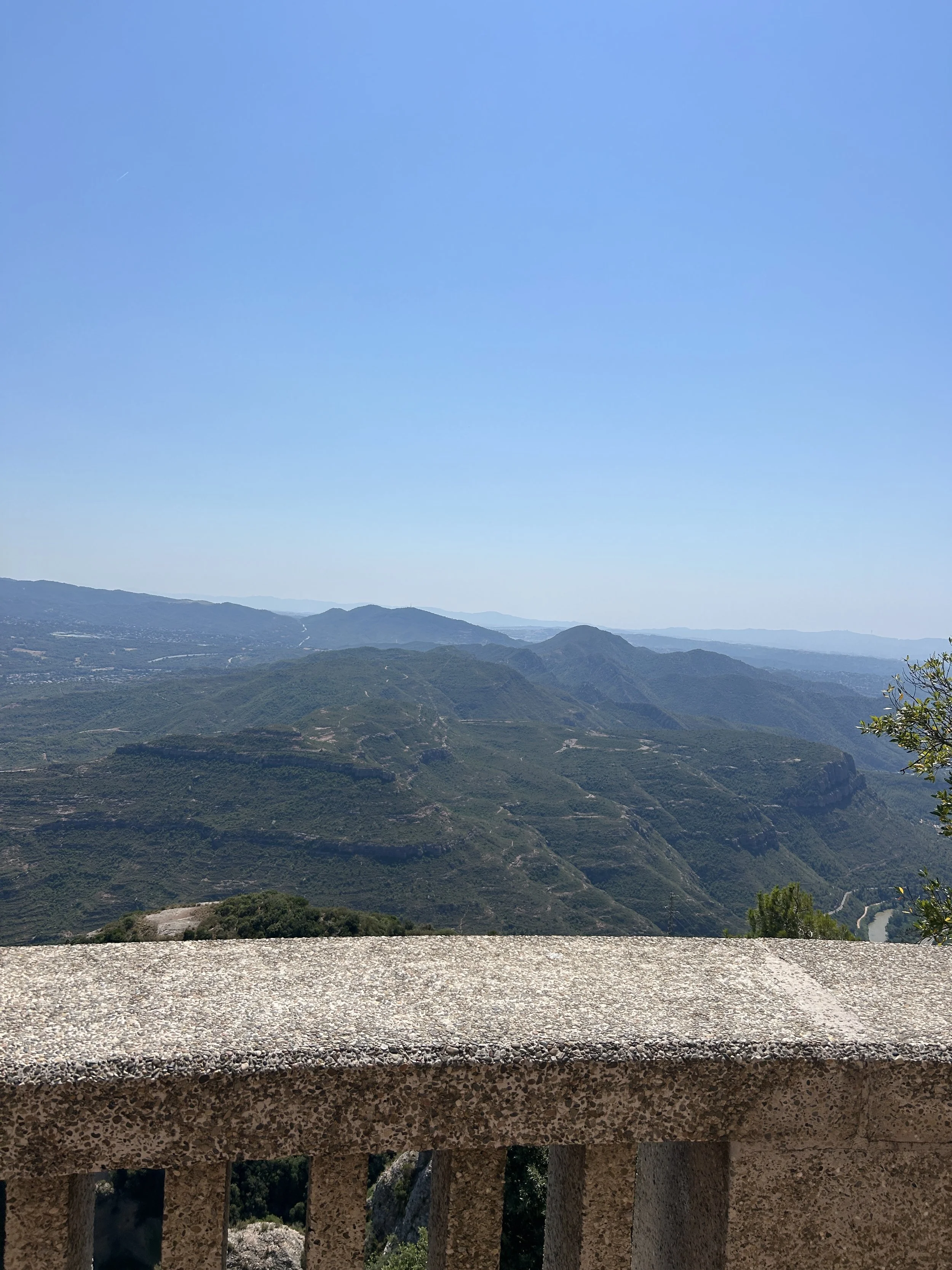 IMG_6442.jpeg