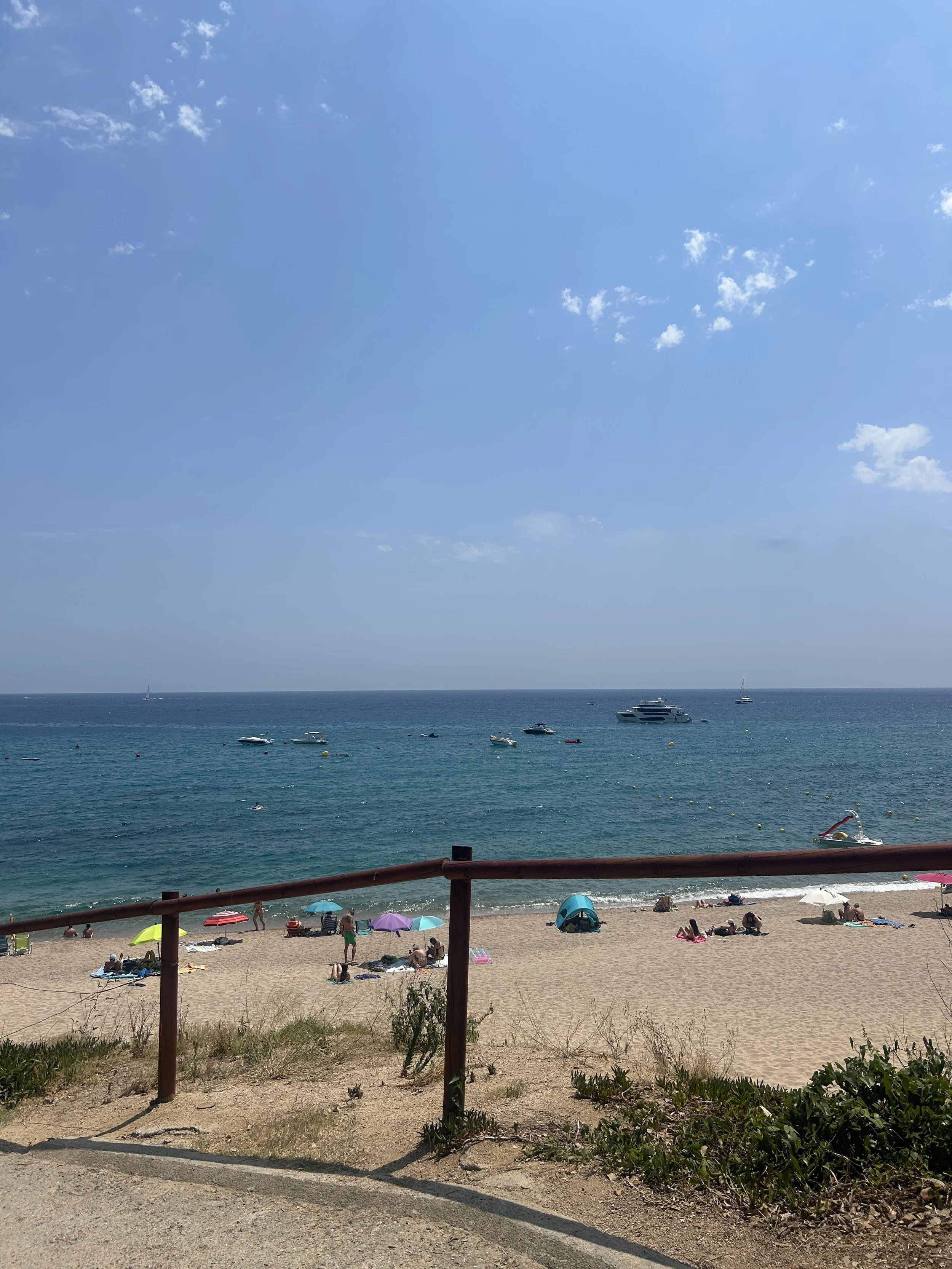 IMG_6600.jpeg