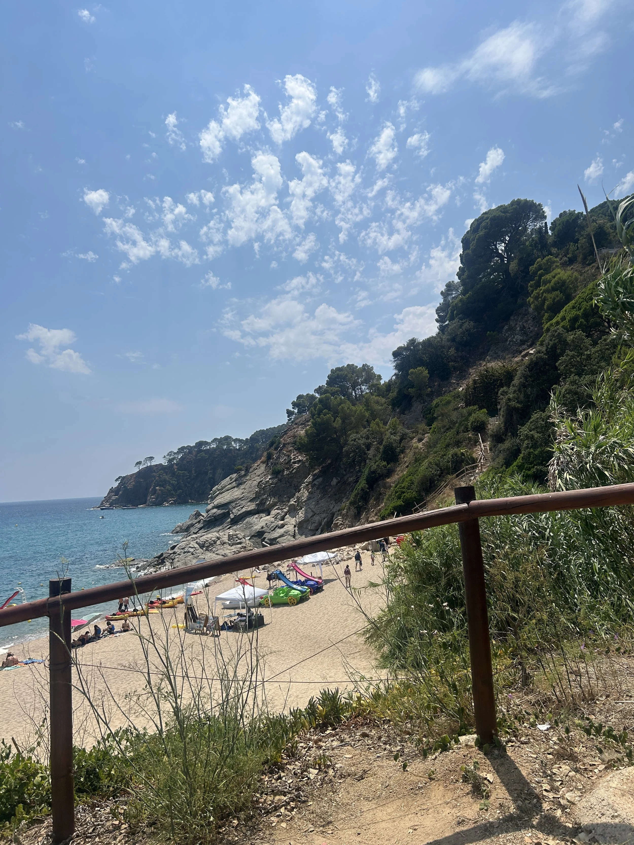 IMG_6602.jpeg