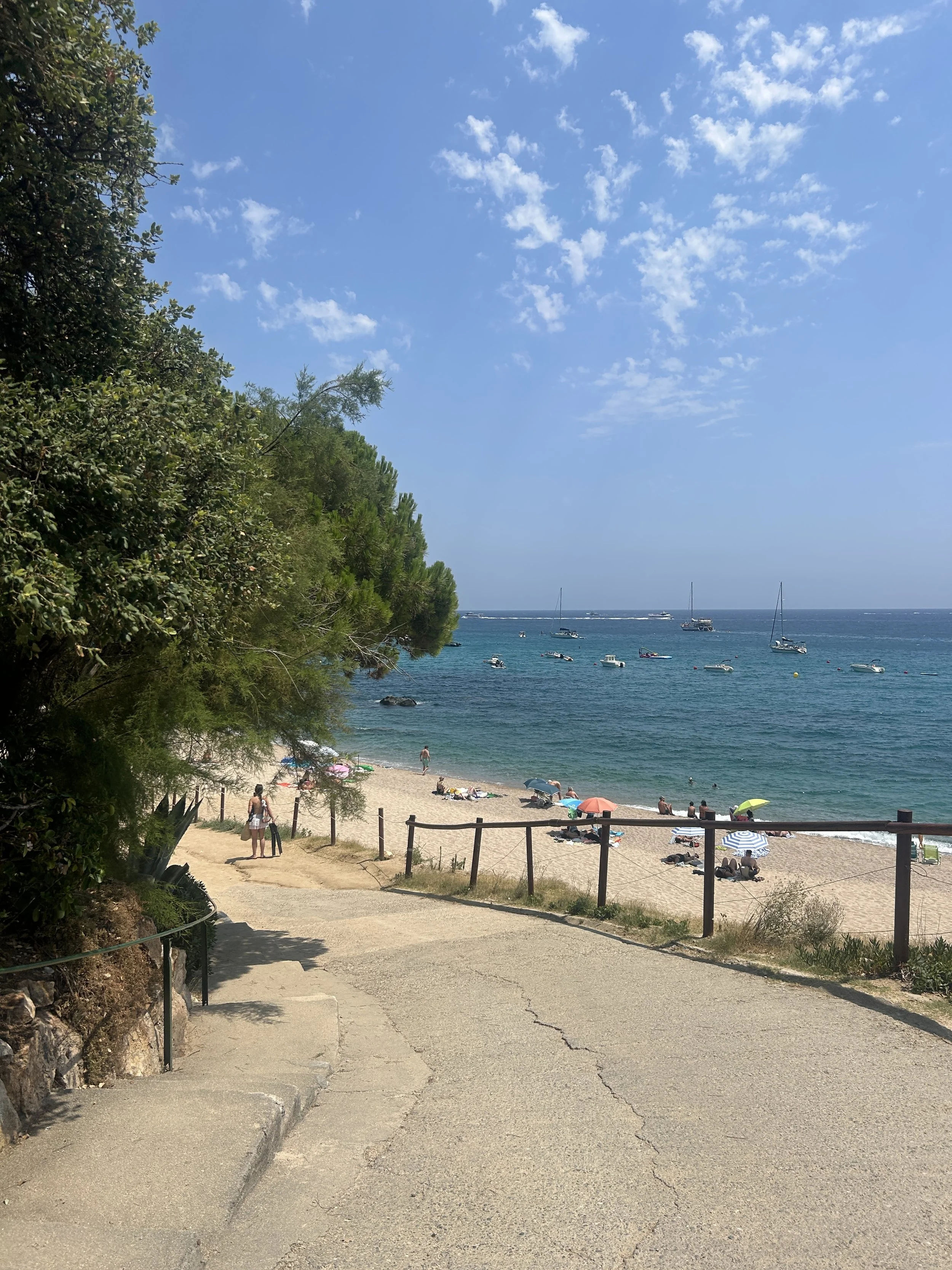 IMG_6601.jpeg