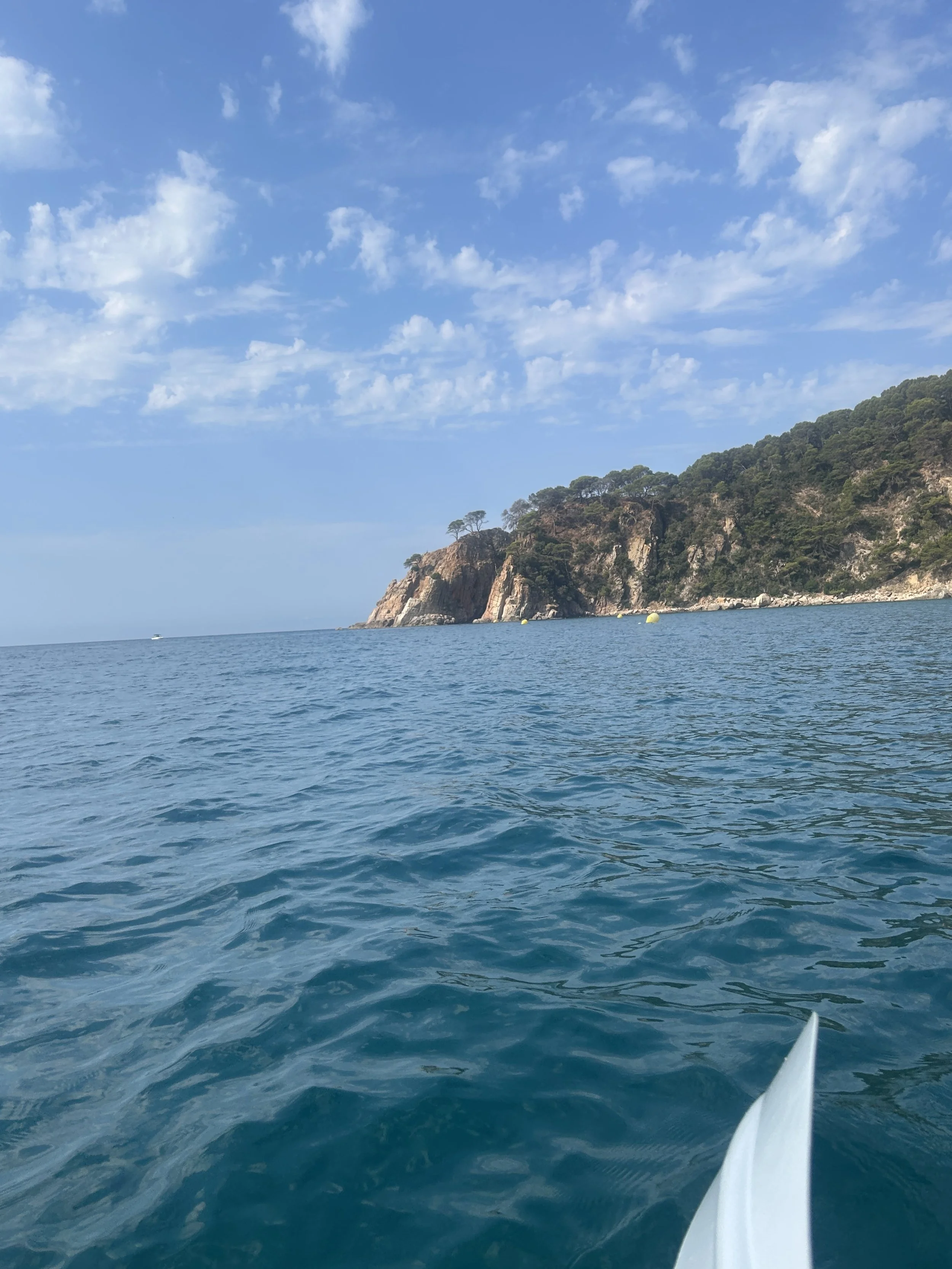 IMG_6559.jpeg
