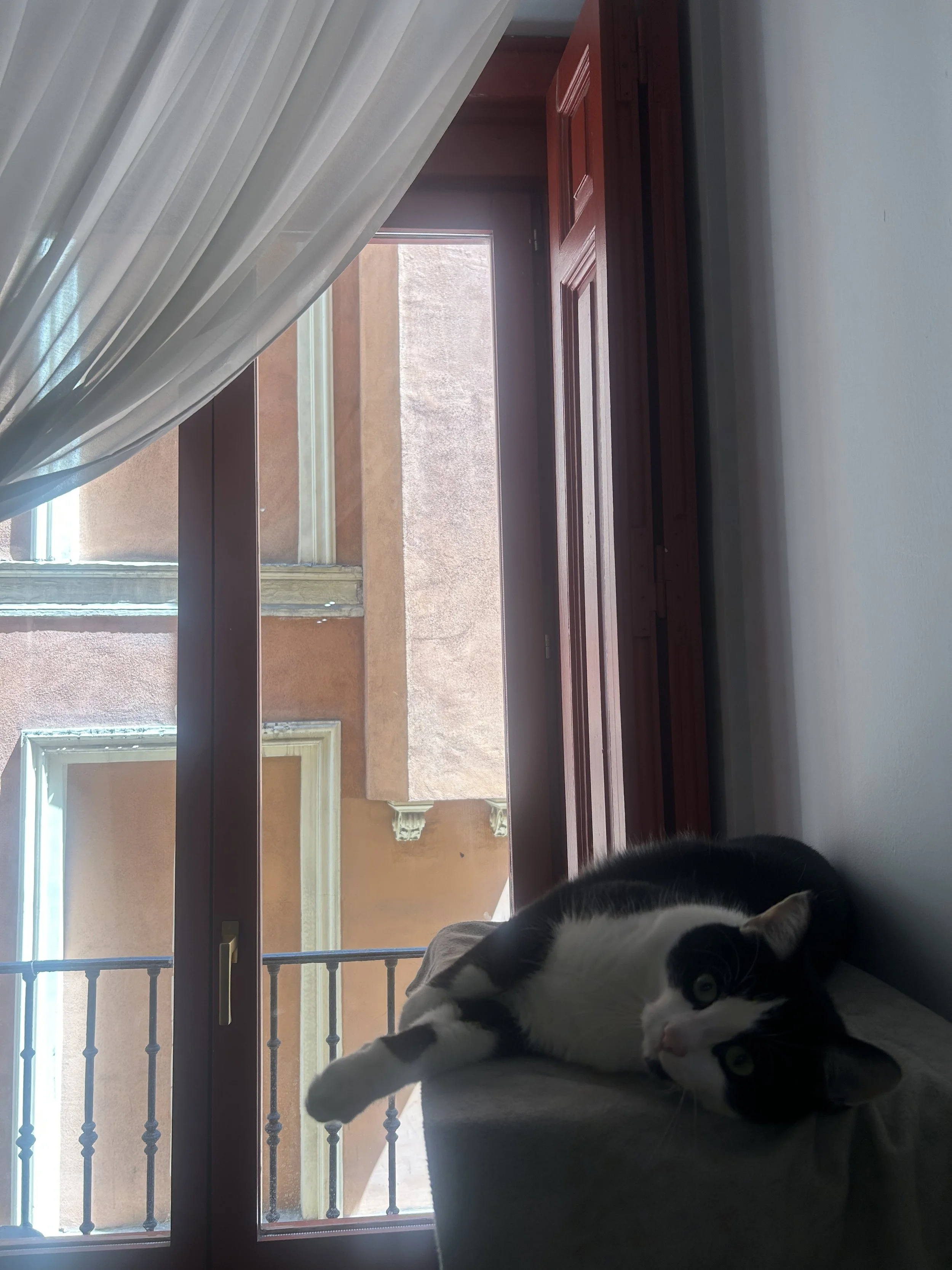 IMG_6639.jpeg