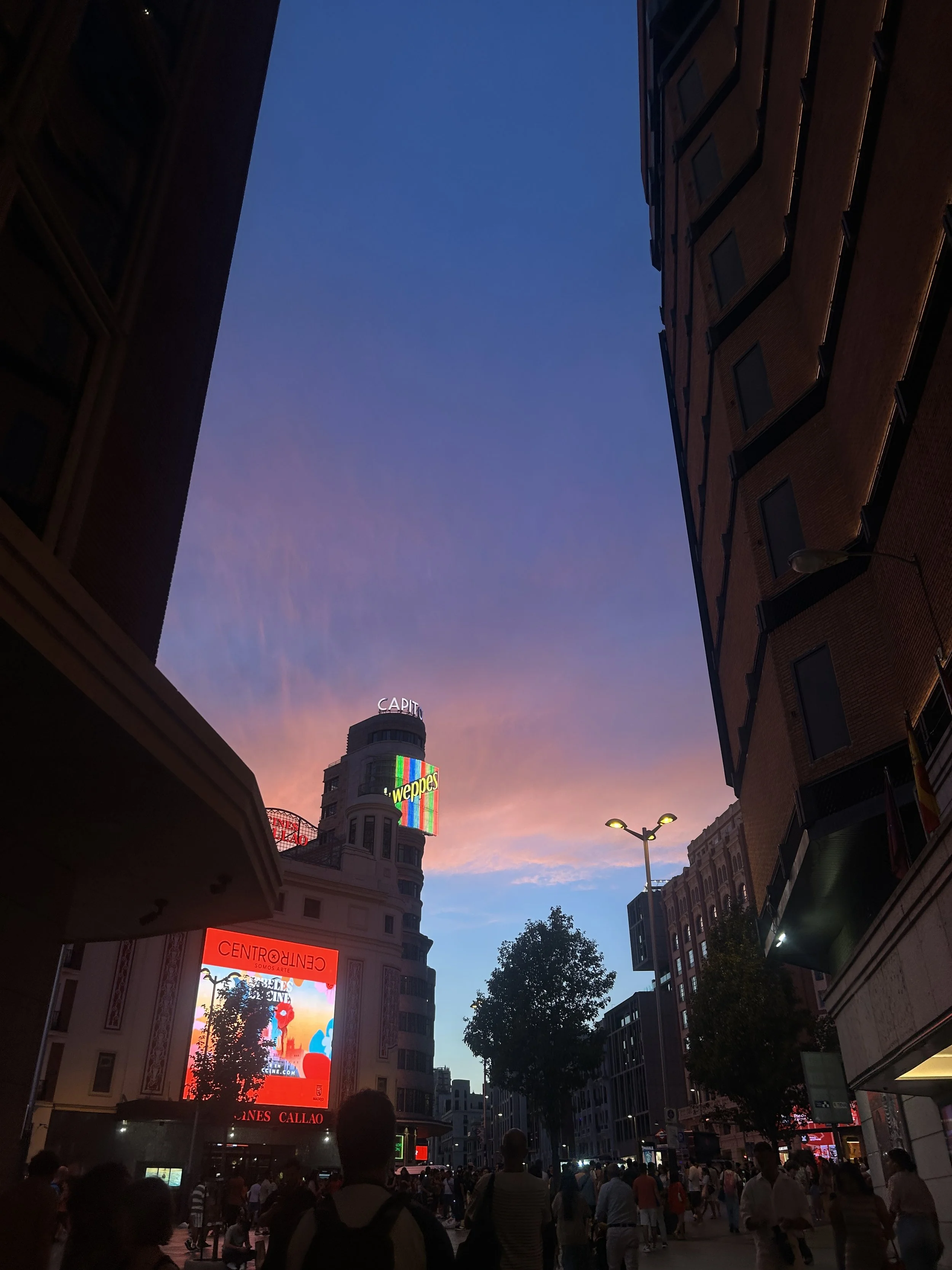IMG_6646.jpeg