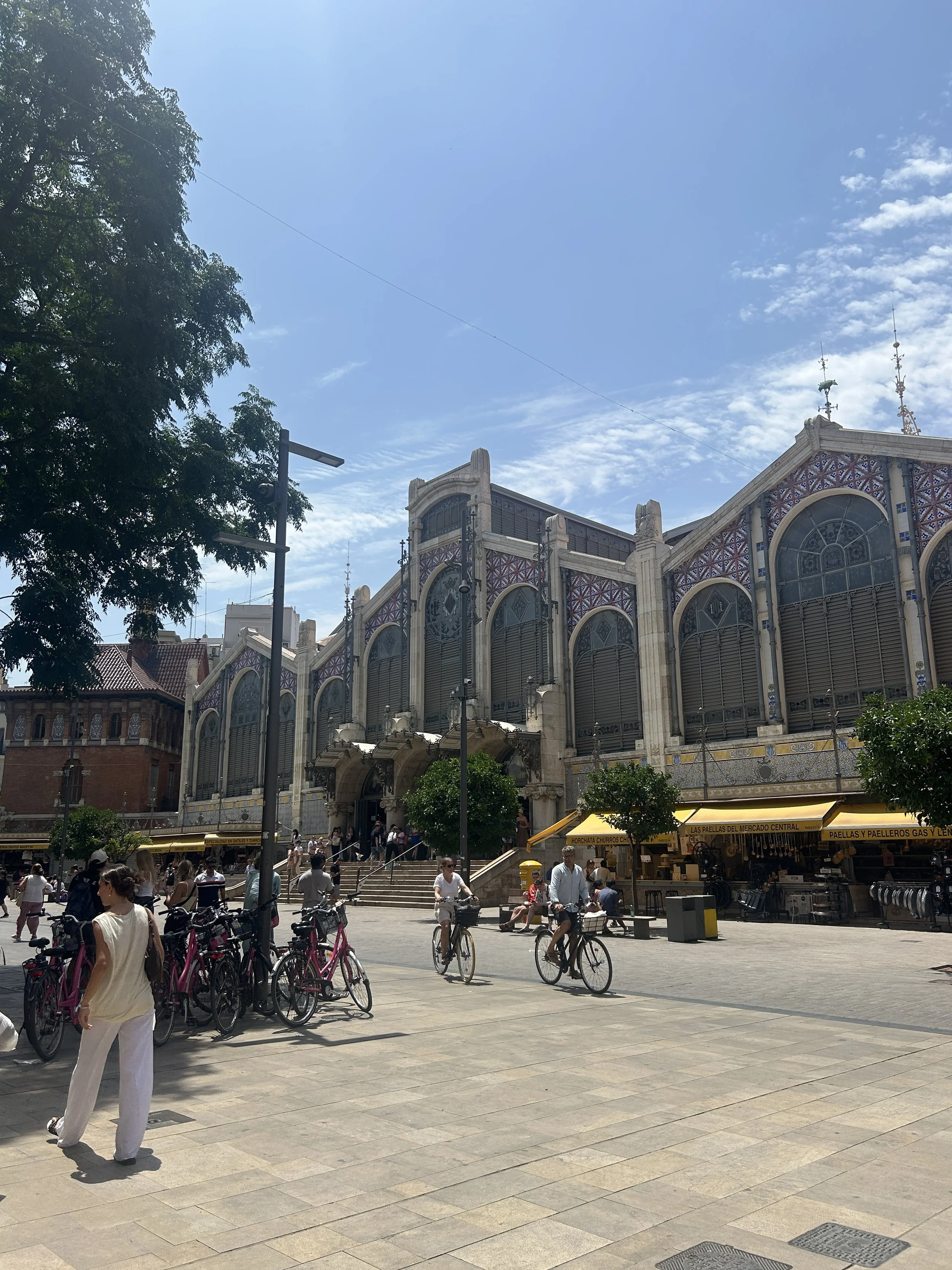 IMG_6690.jpeg