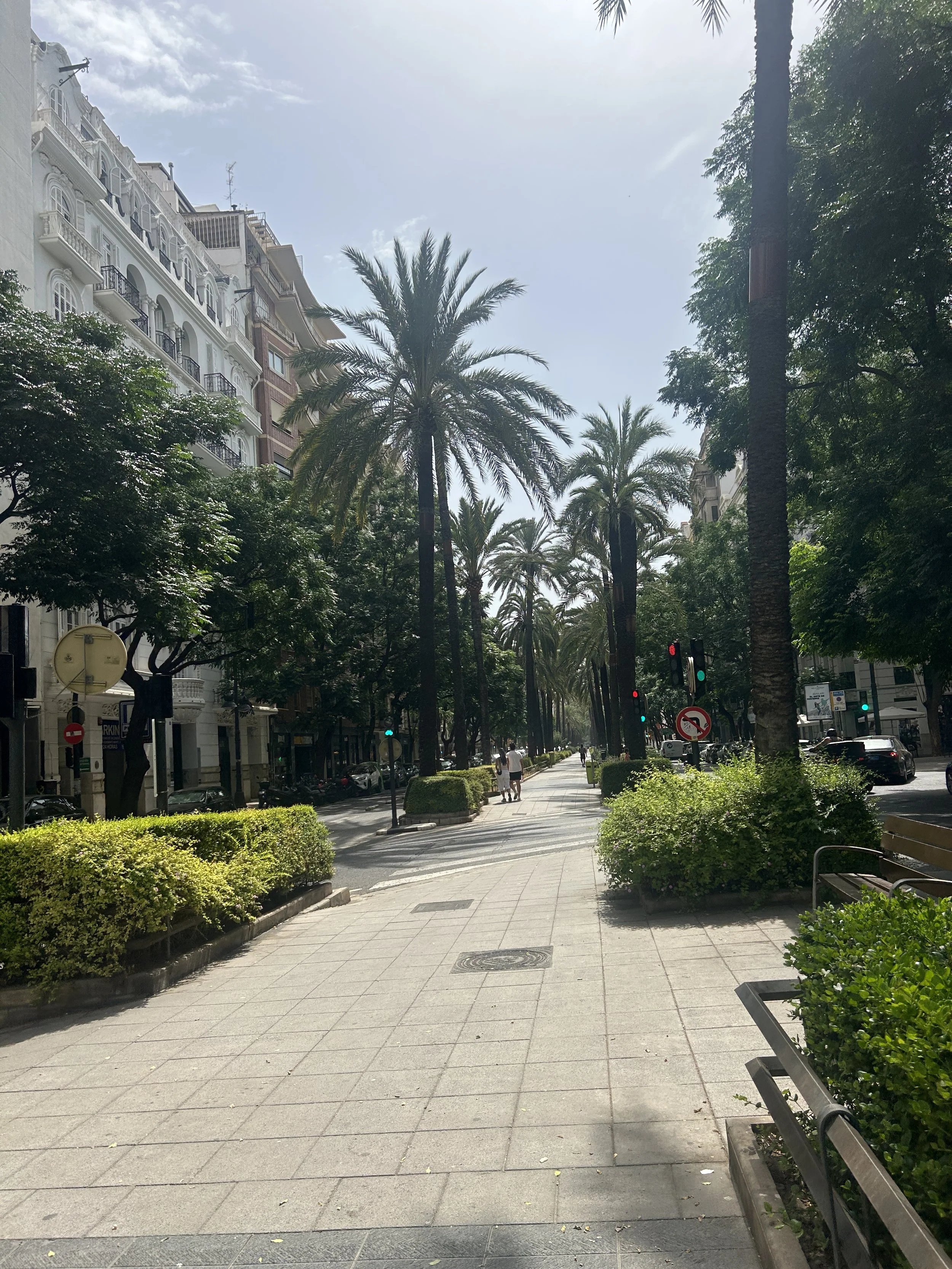 IMG_6750.jpeg