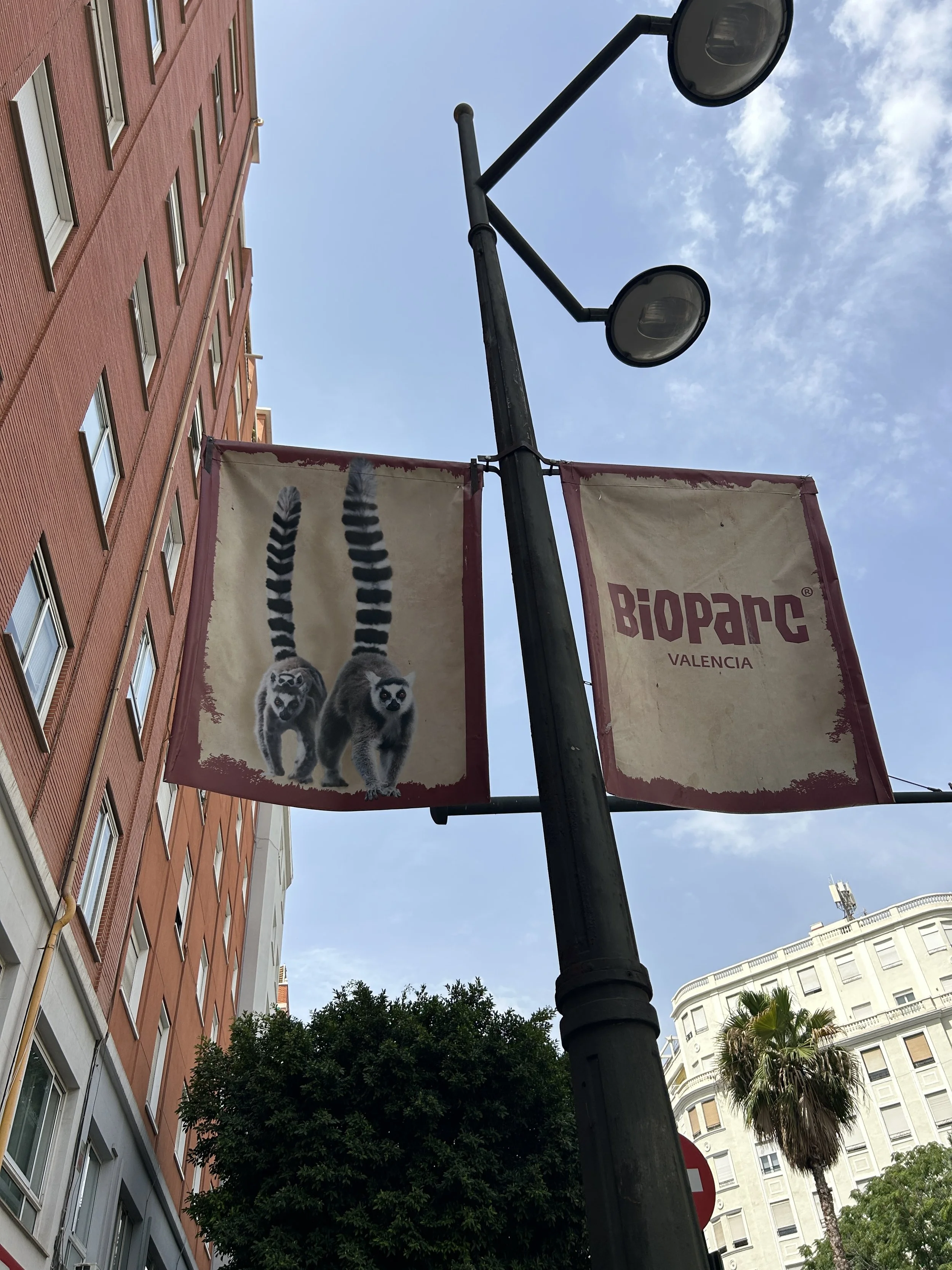 IMG_6754.jpeg