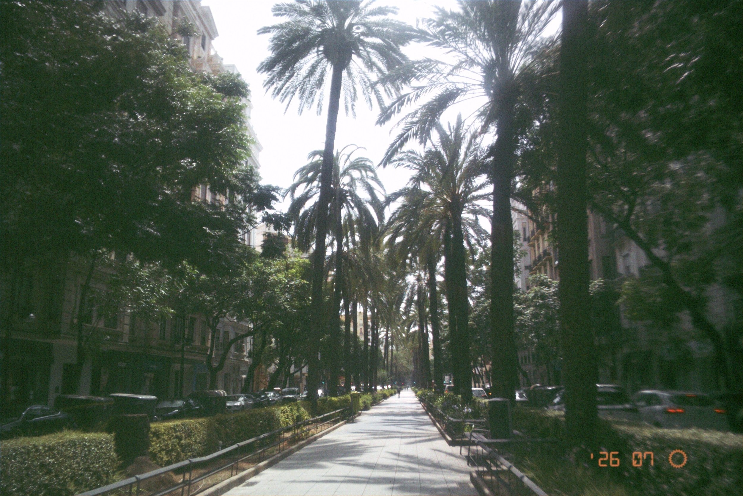 Spain Week 4: Valencia!