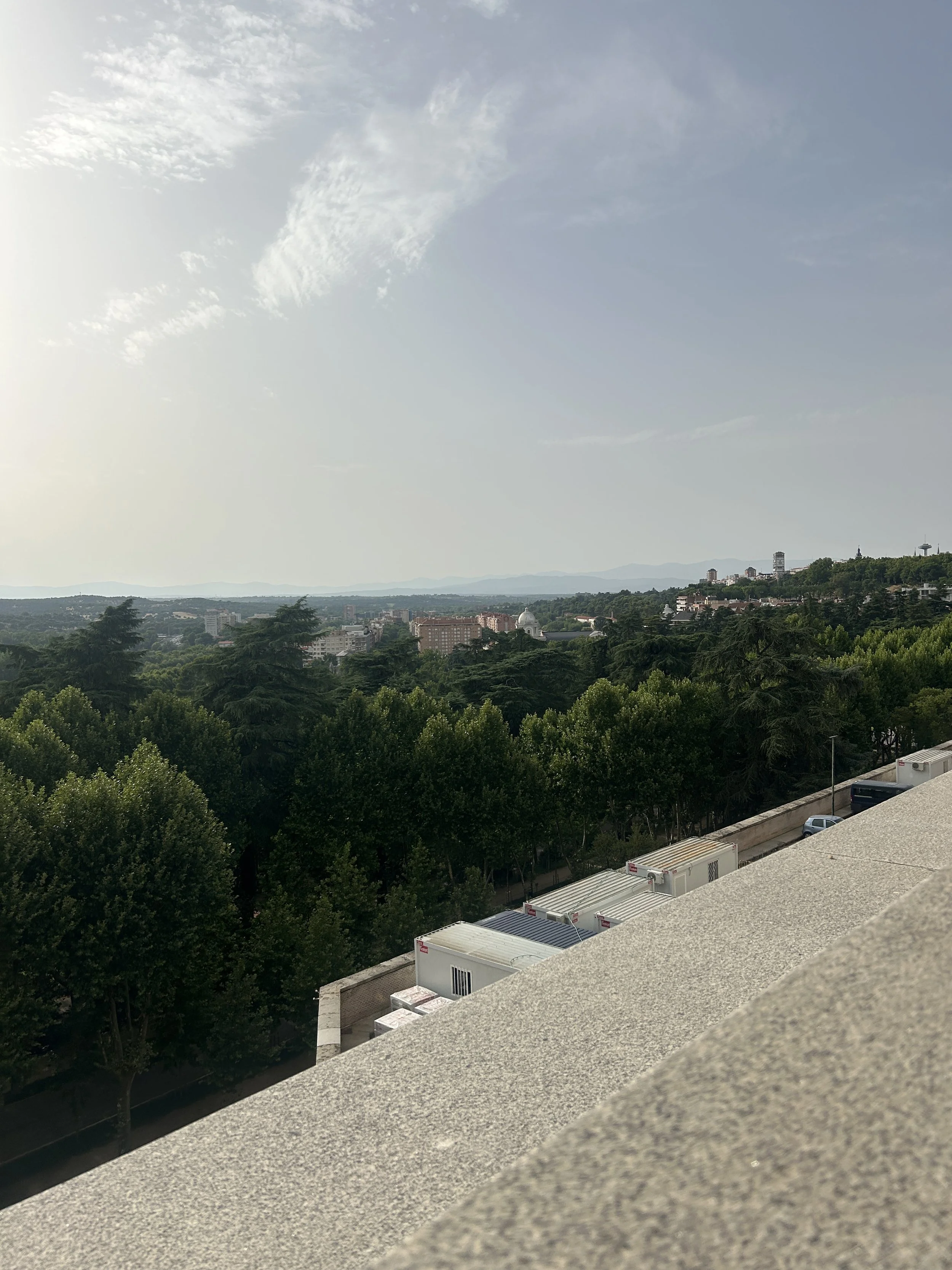 IMG_7115.jpeg