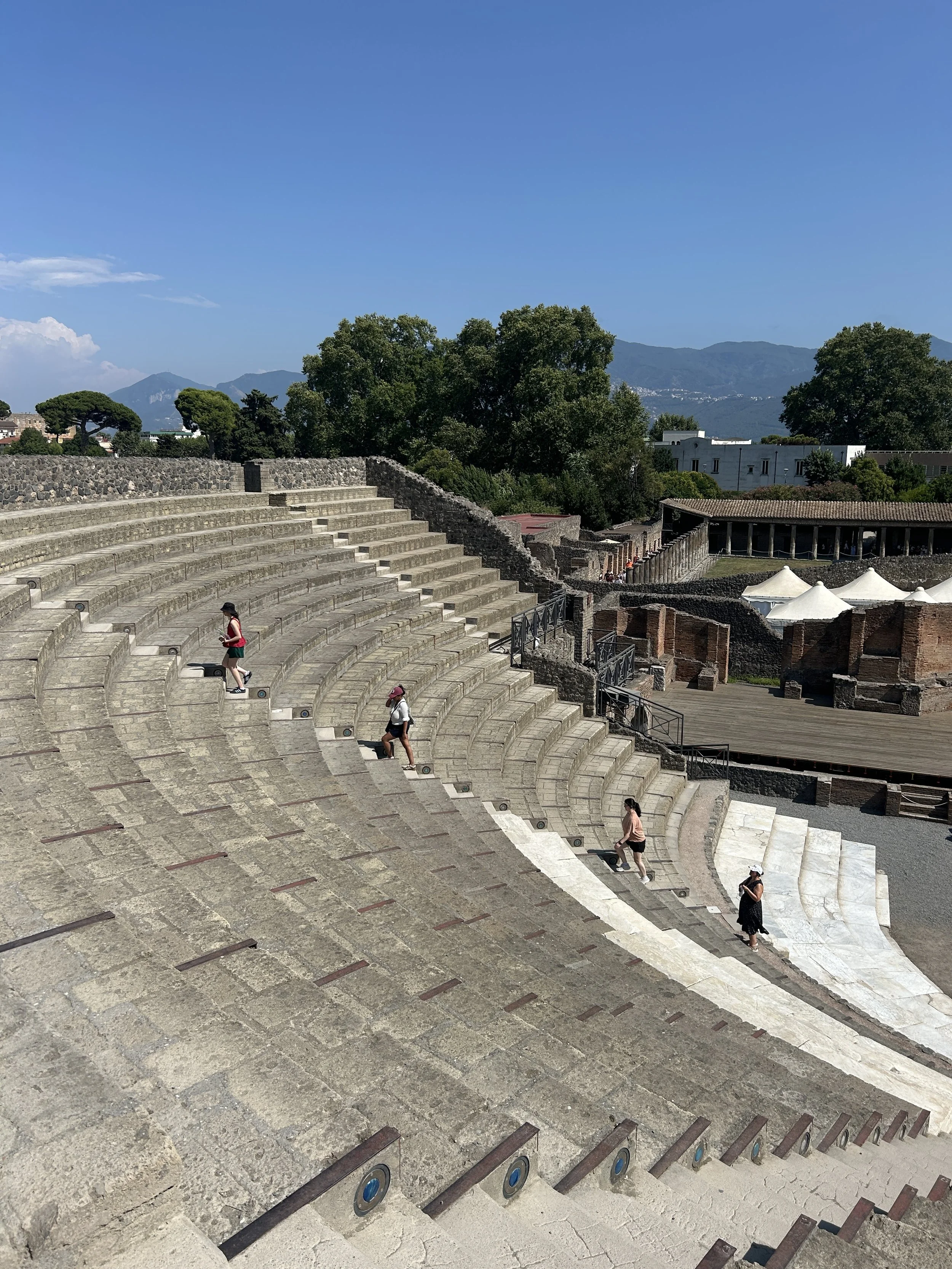 IMG_8031.jpeg