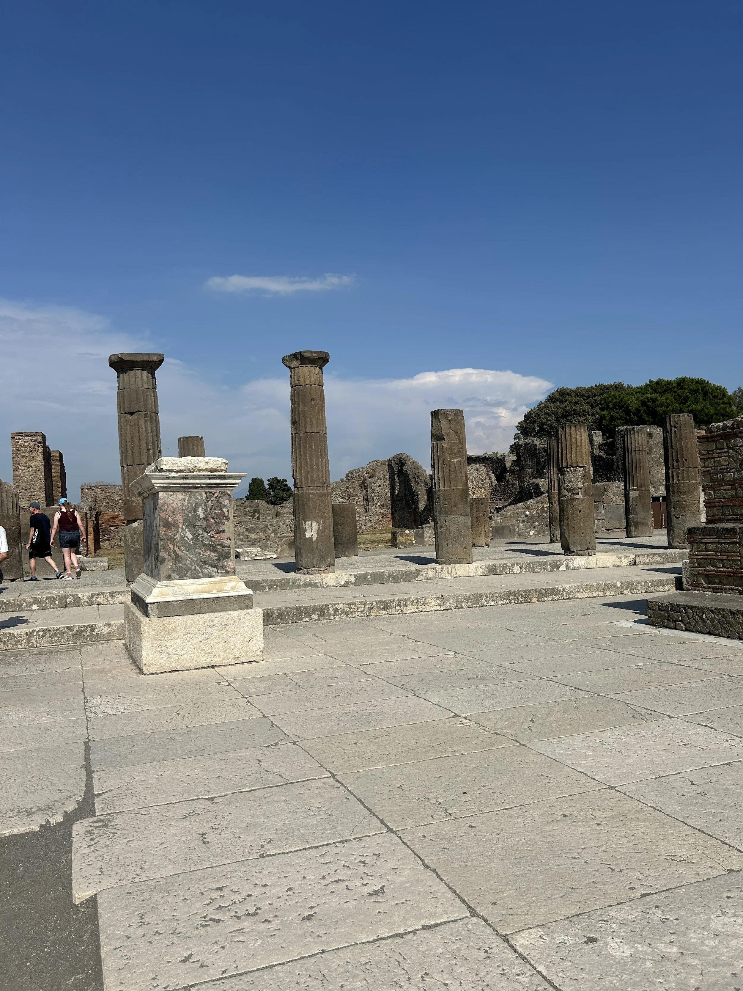 IMG_8062.jpeg