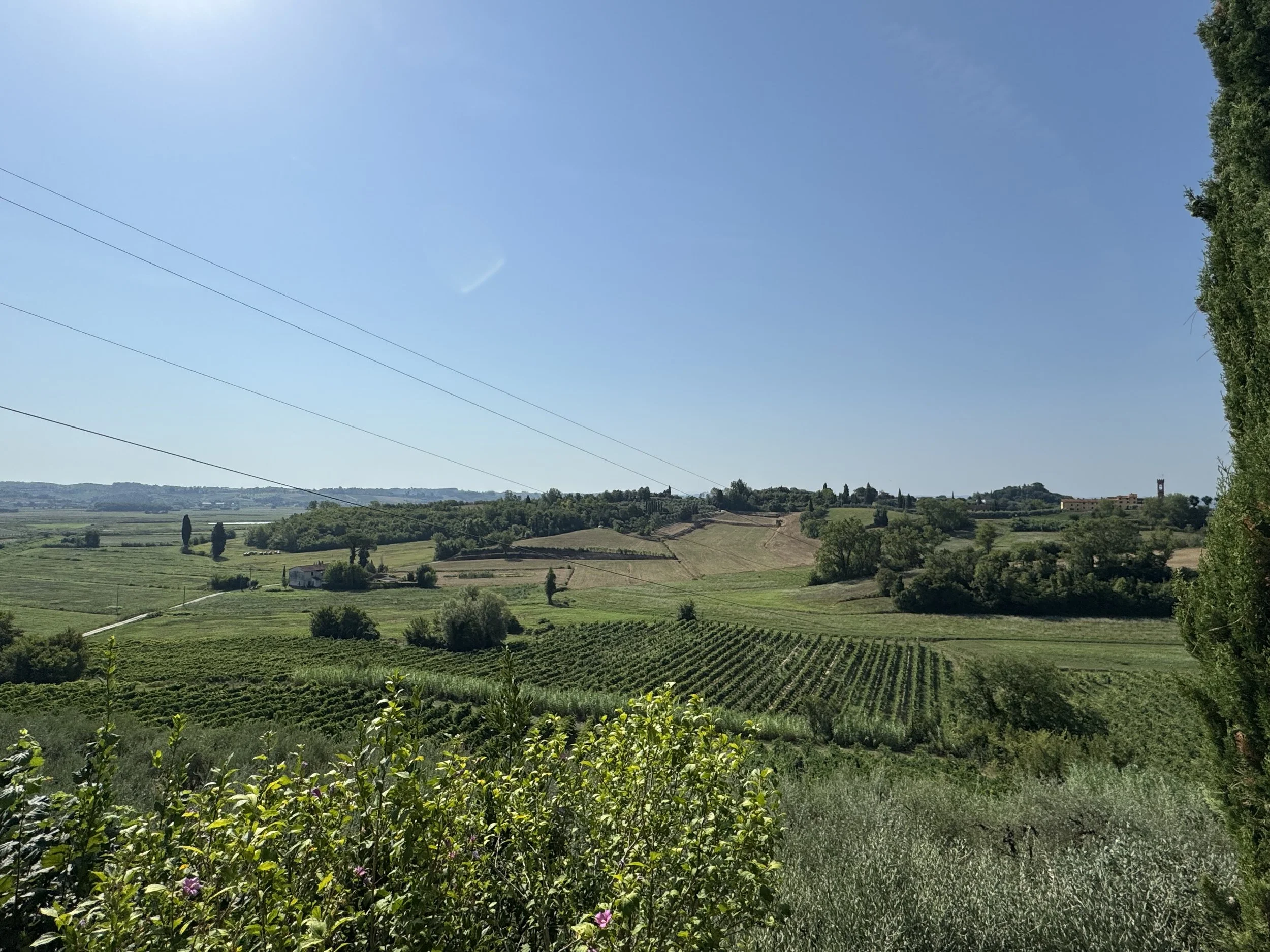 IMG_7480.jpeg