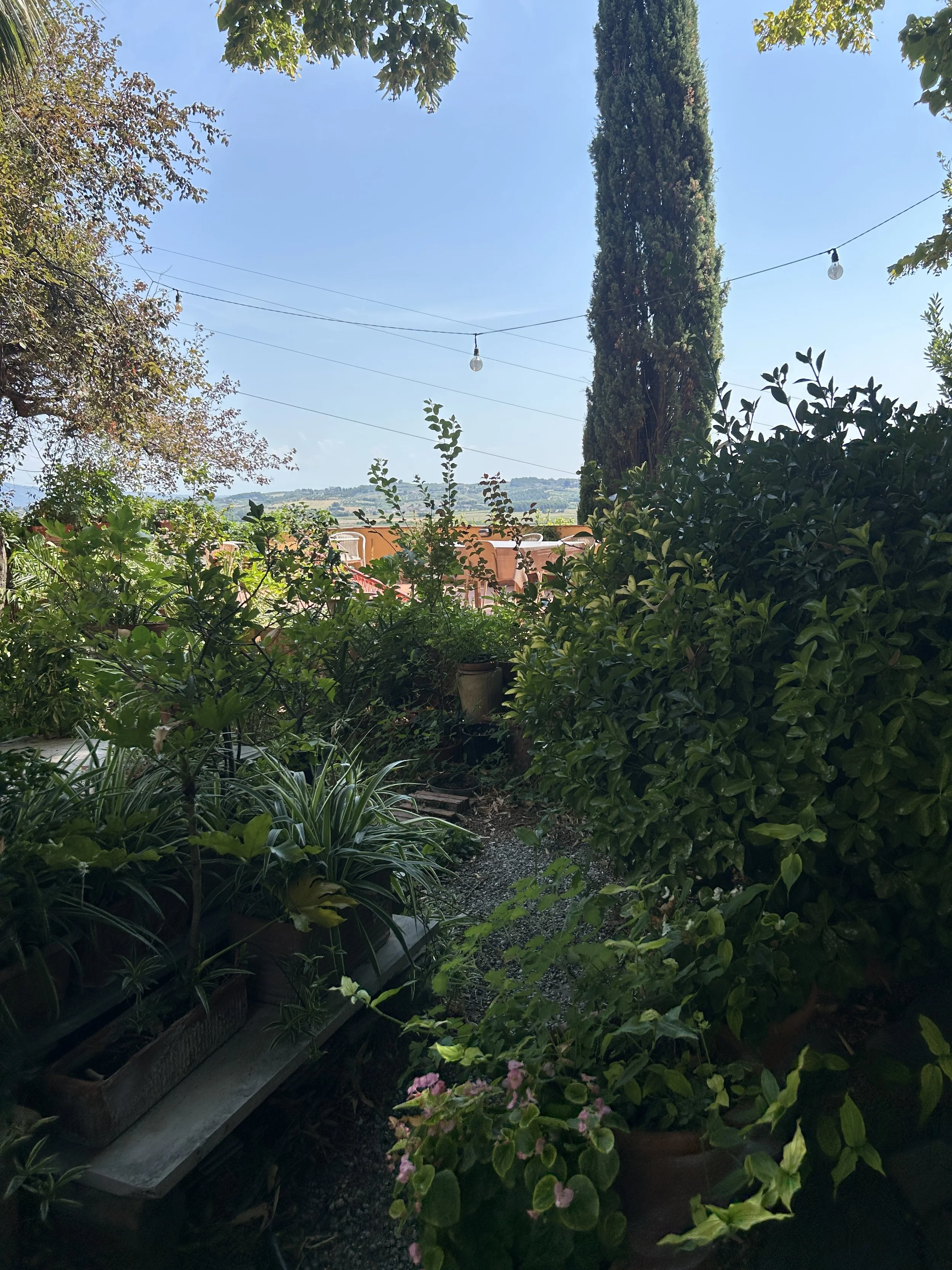 IMG_8455.jpeg