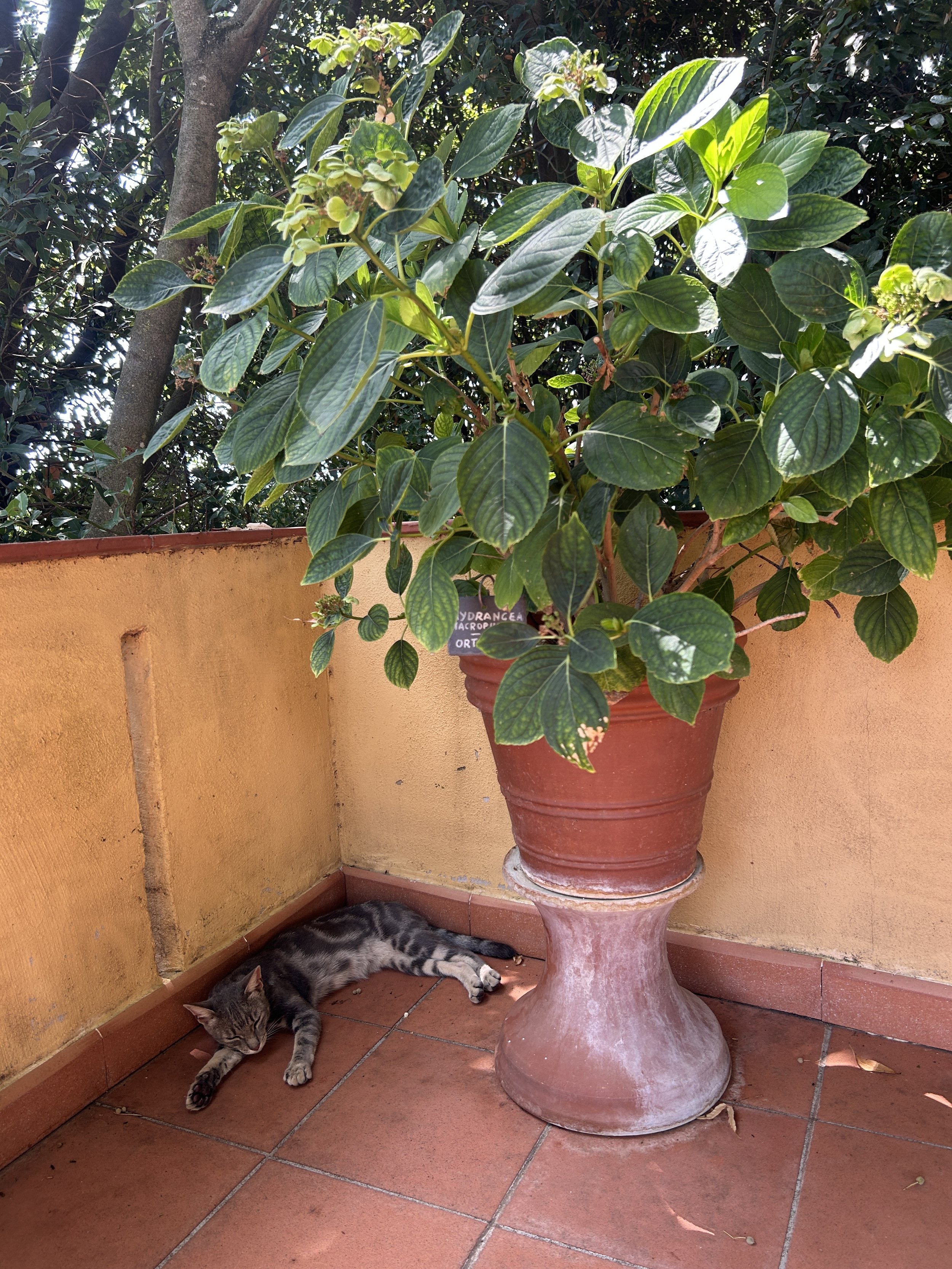 IMG_8469.jpeg