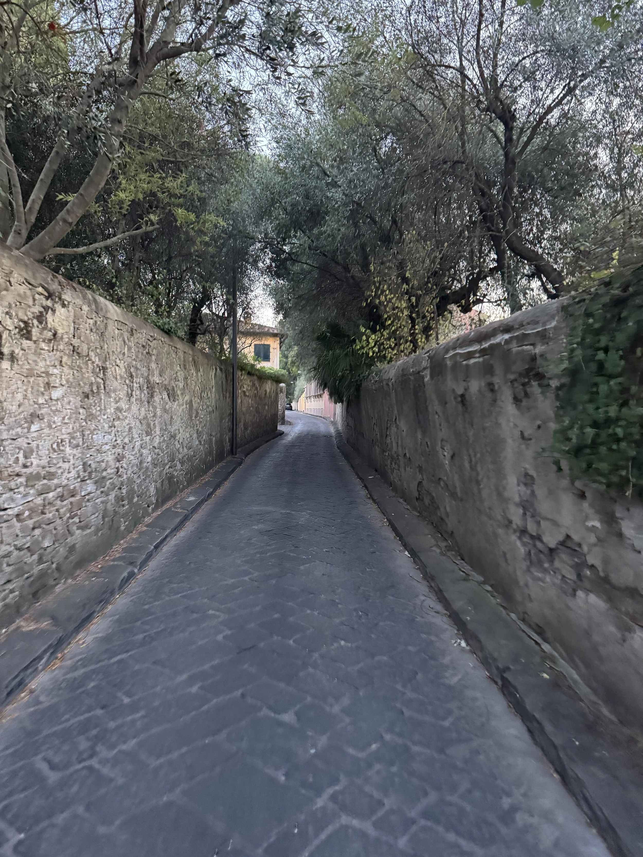 IMG_7625.jpeg