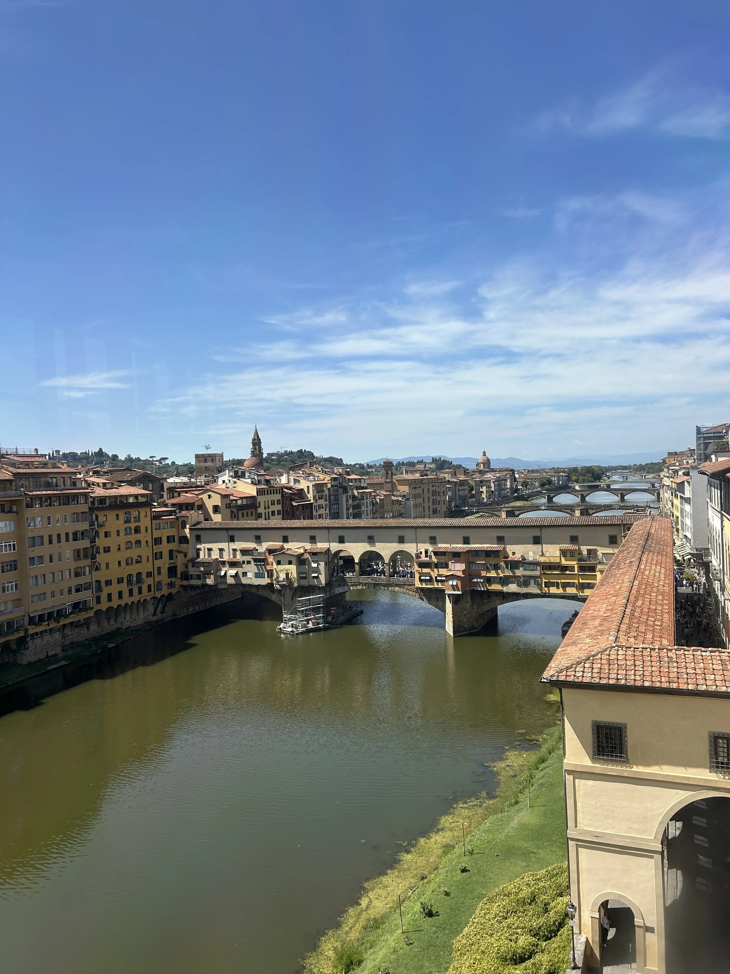 IMG_8875.jpeg