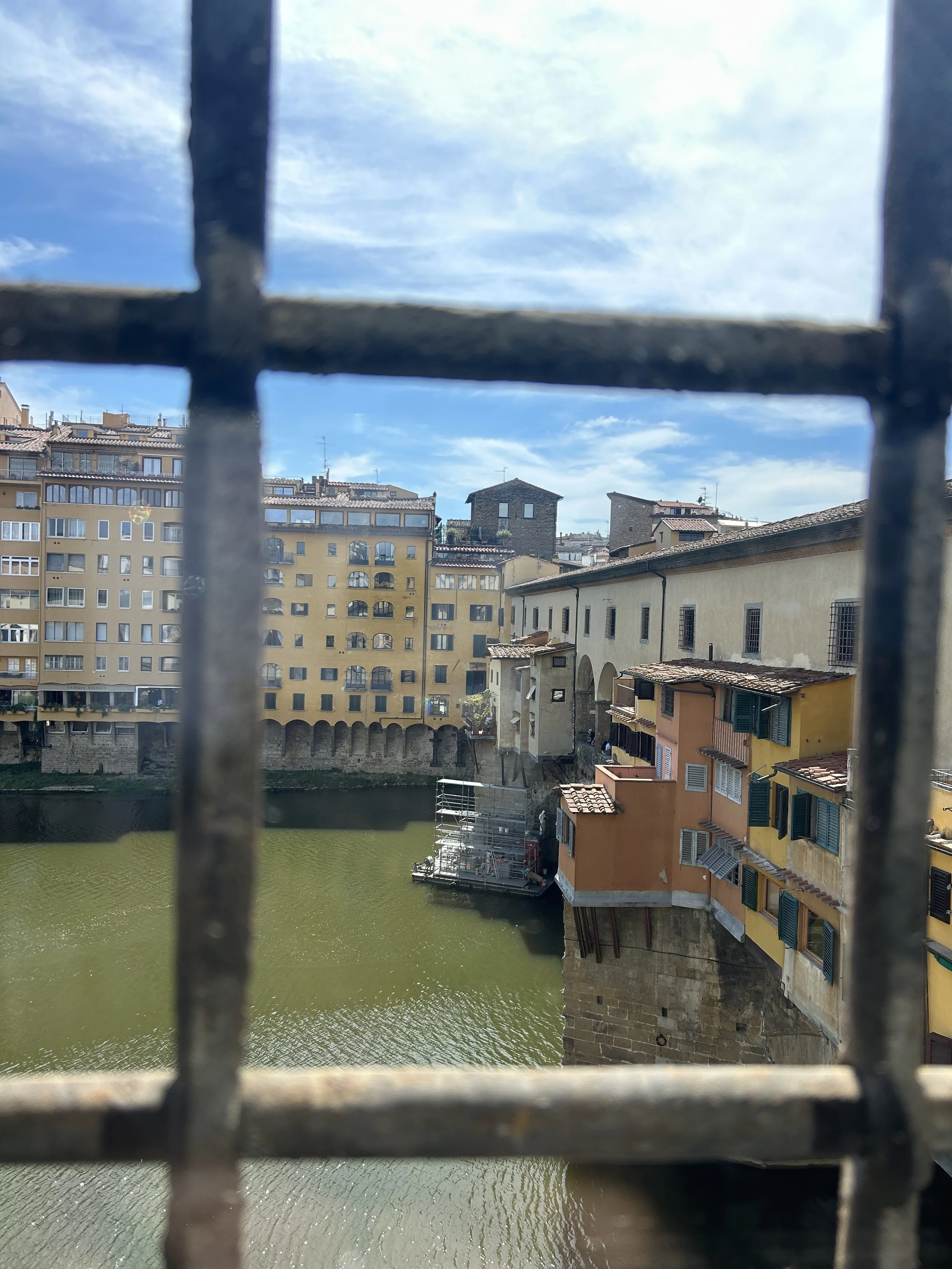 IMG_8919.jpeg