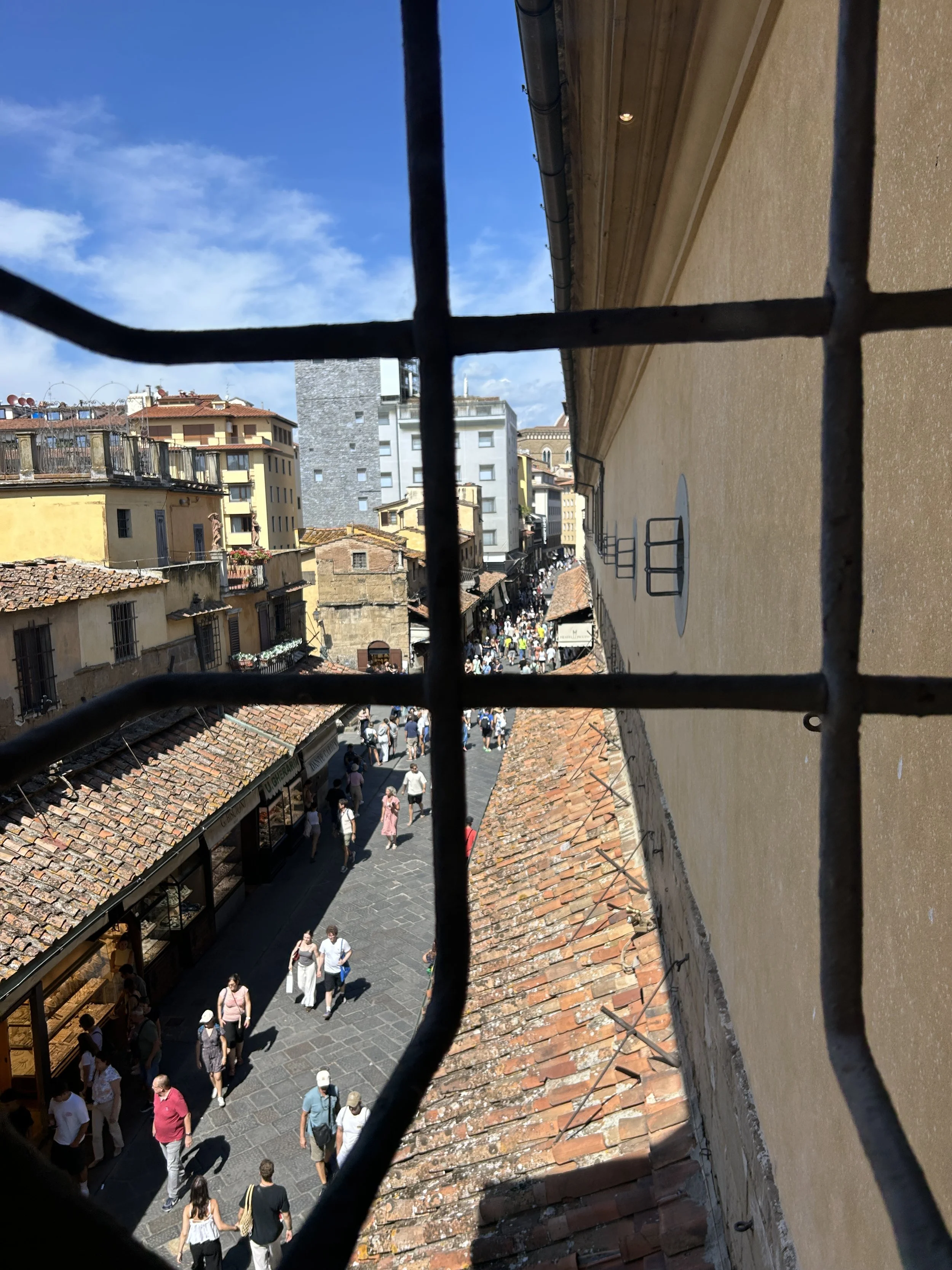 IMG_8955.jpeg
