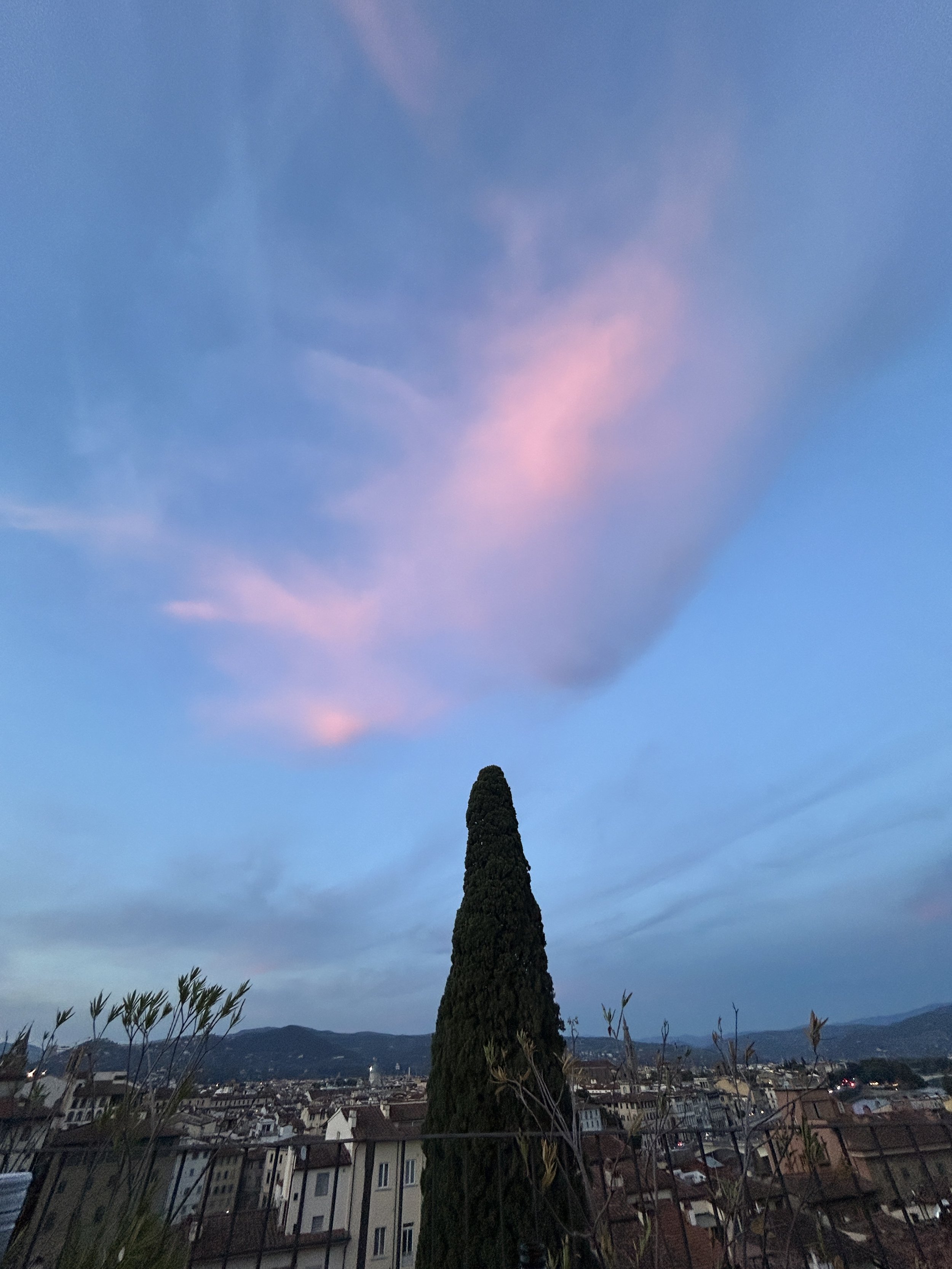 IMG_8987.jpeg