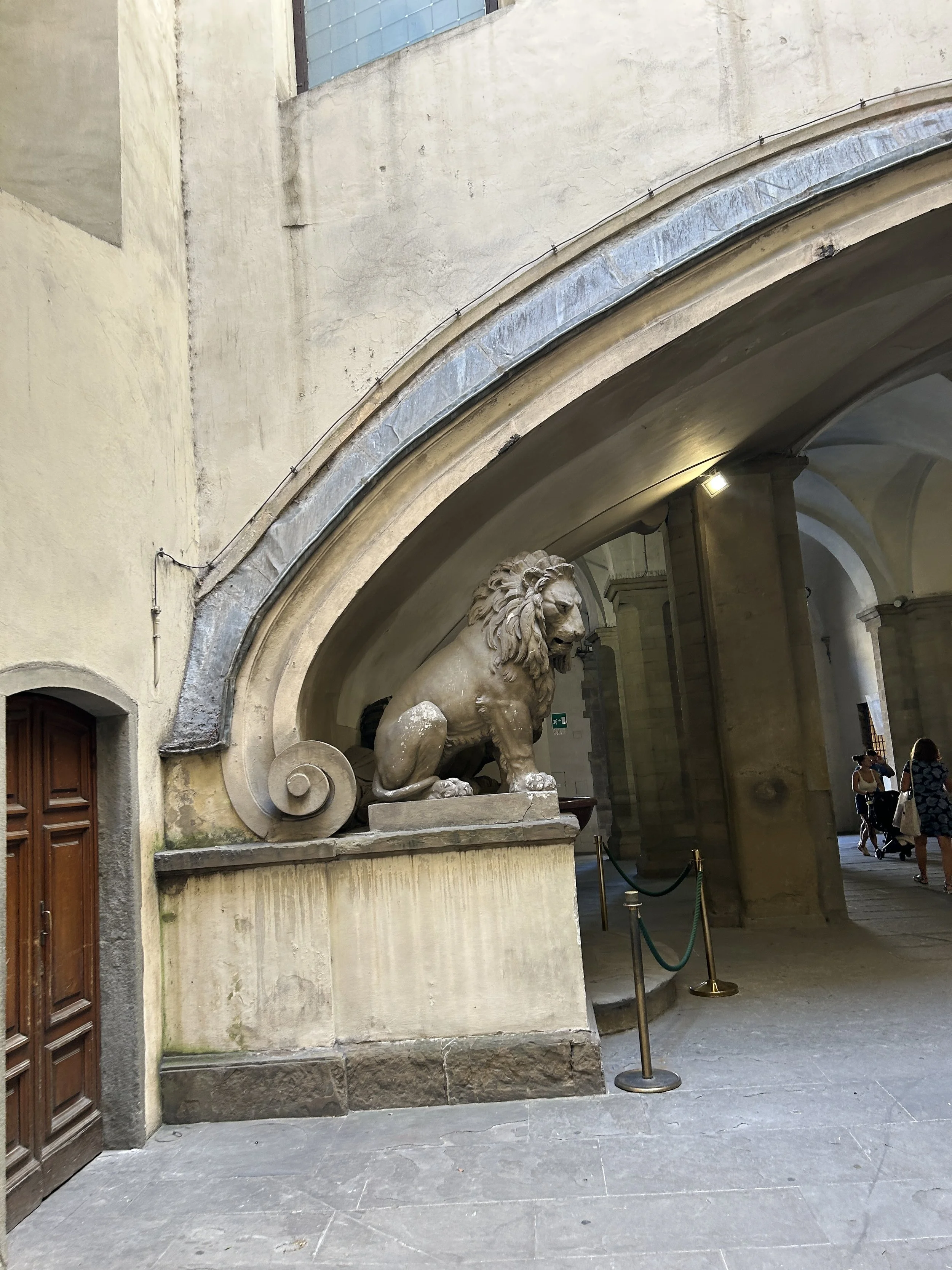 IMG_9436.jpeg