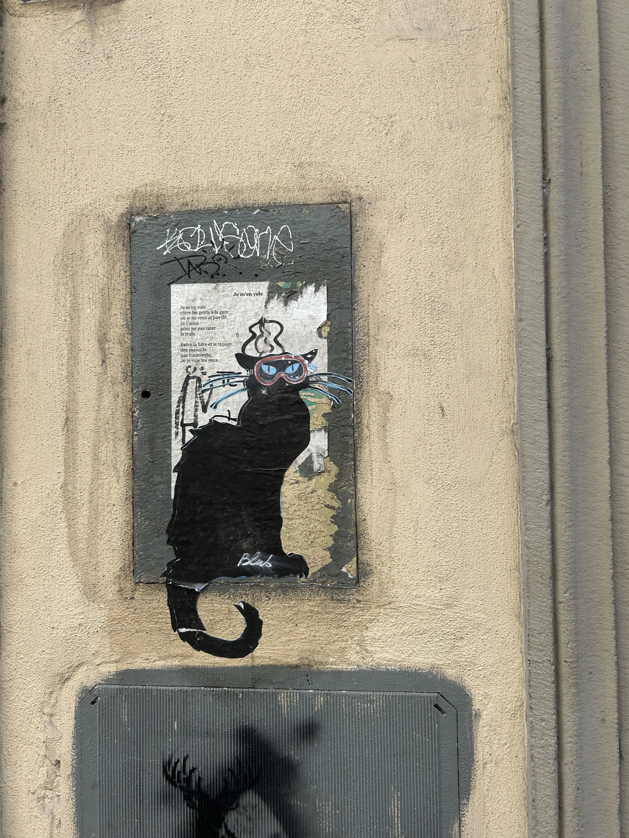IMG_9453.jpeg