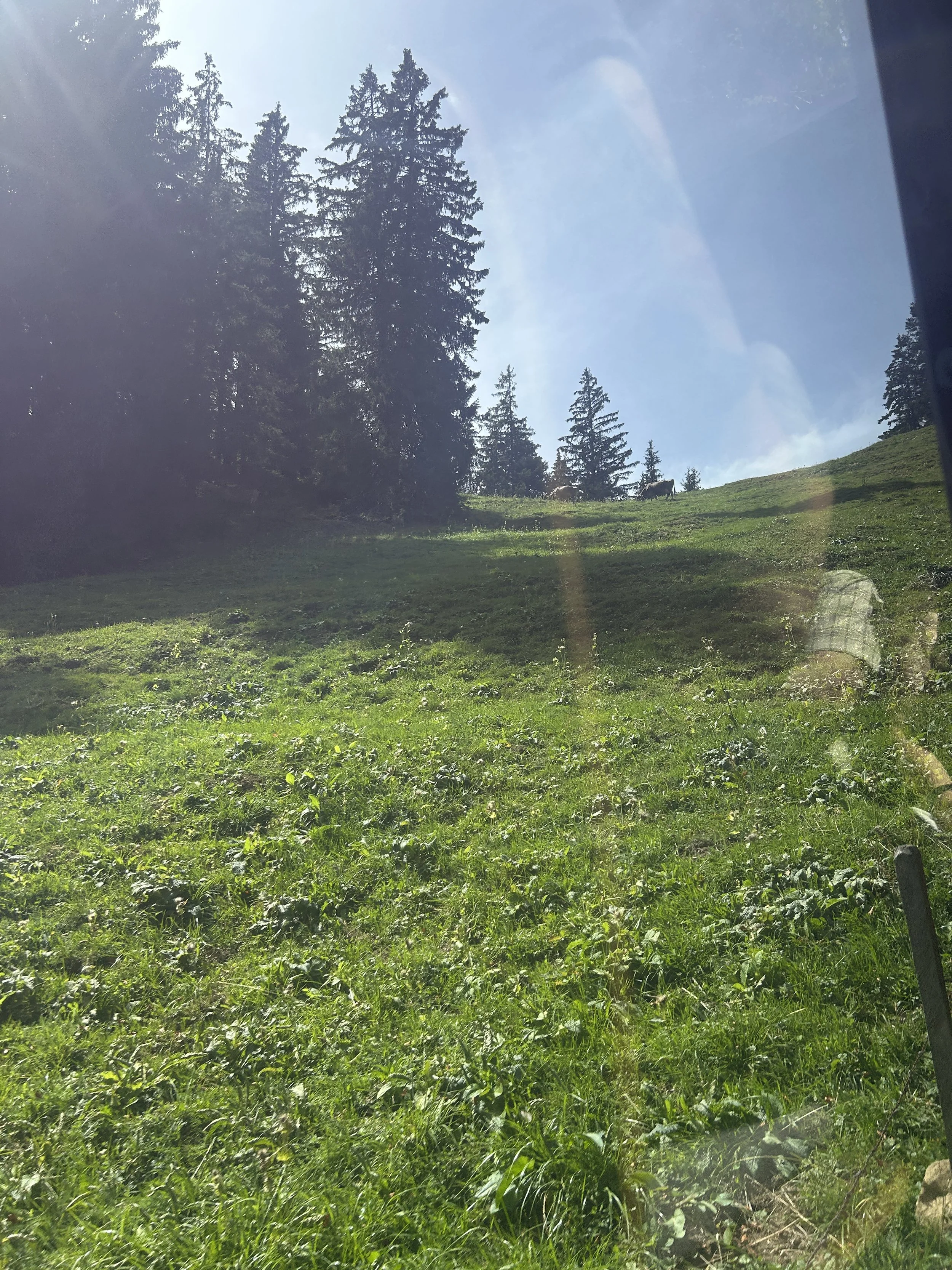 IMG_9744.jpeg