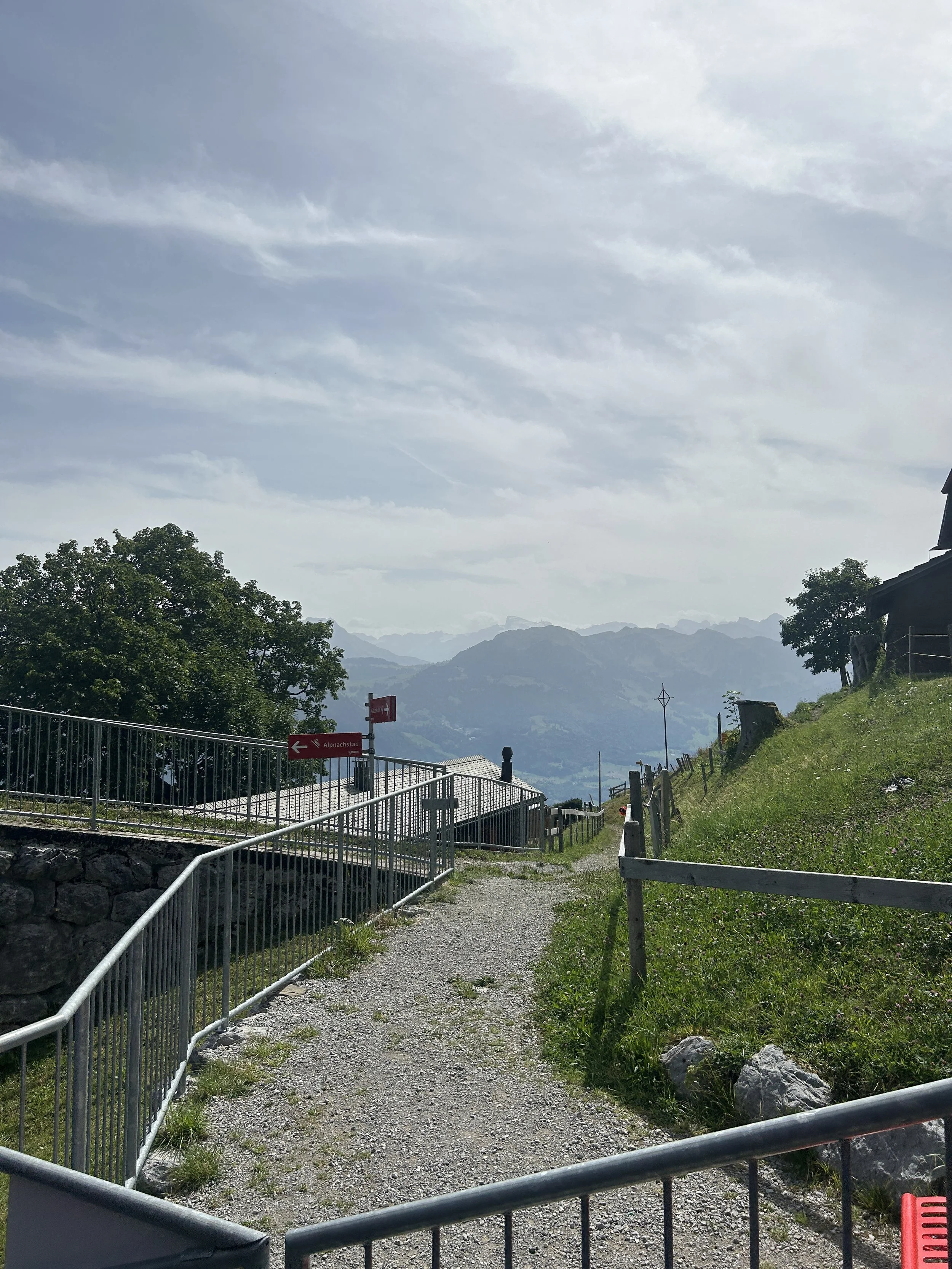 IMG_9752.jpeg