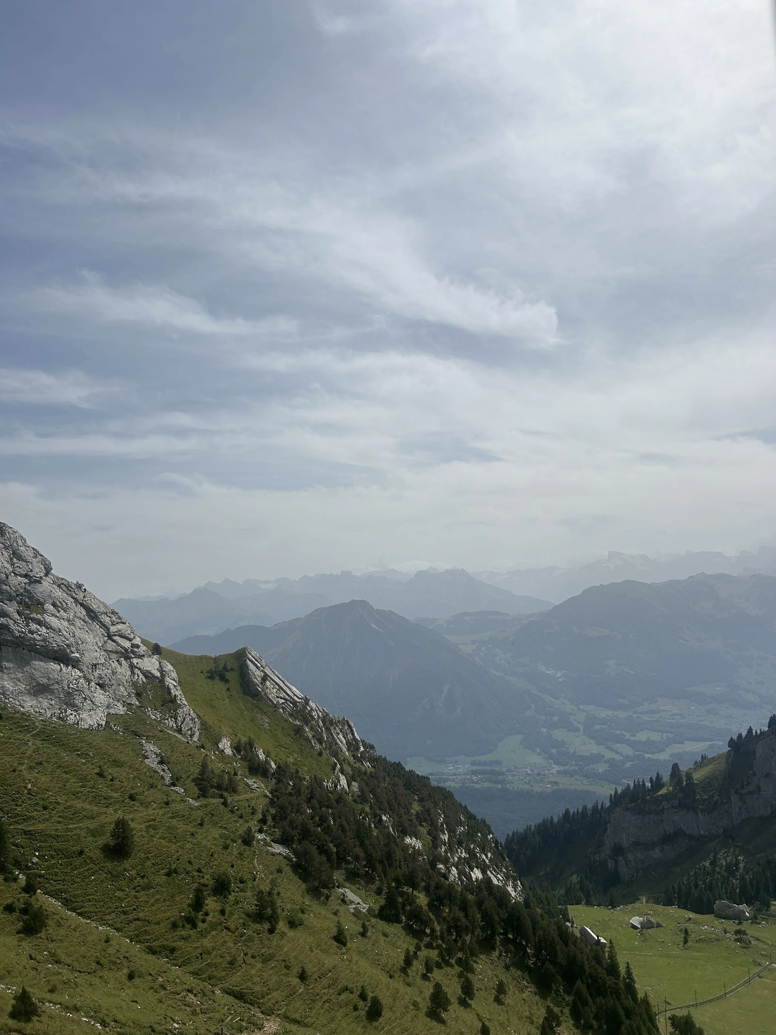 IMG_9761.jpeg