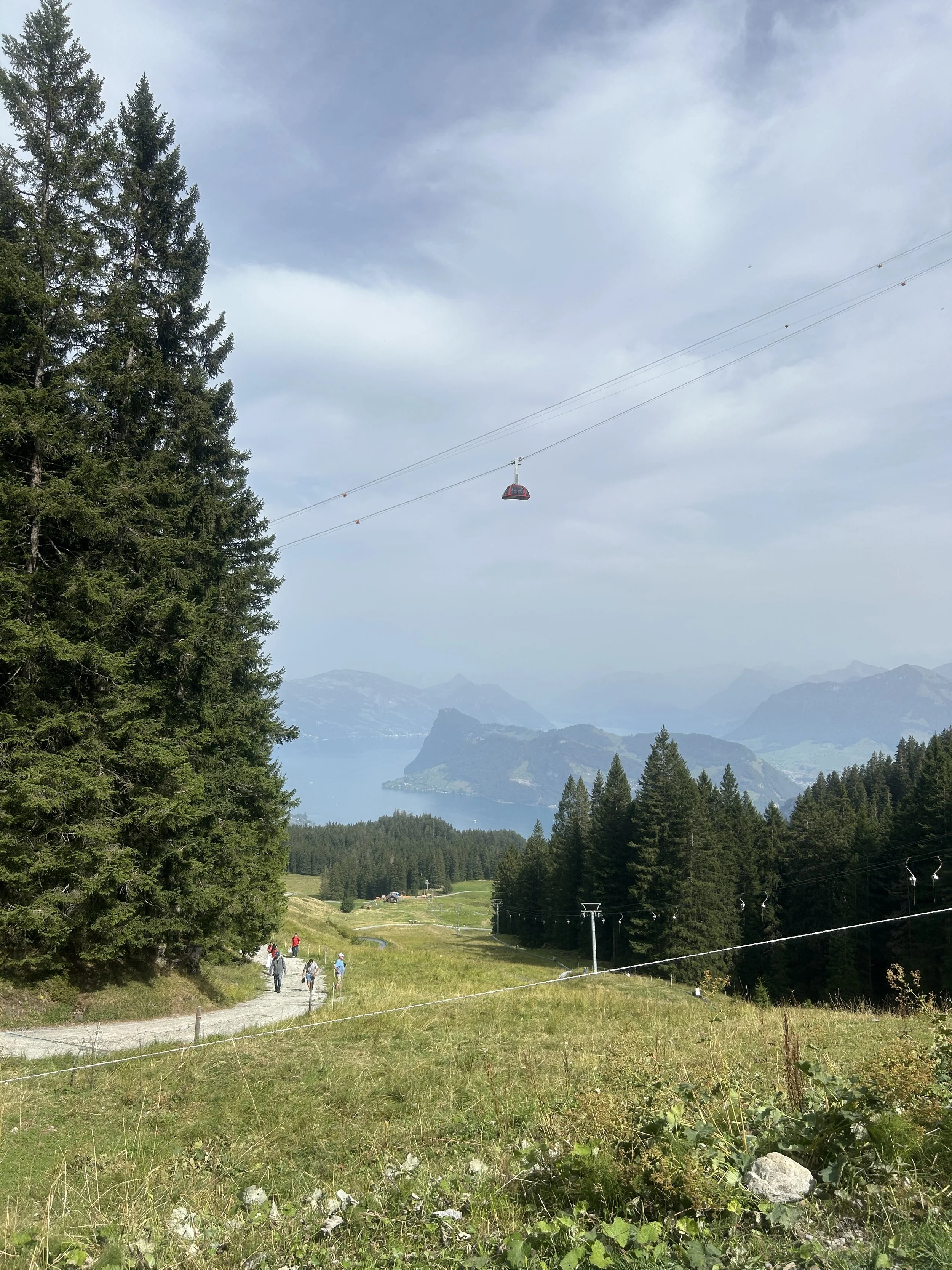 IMG_9814.jpeg