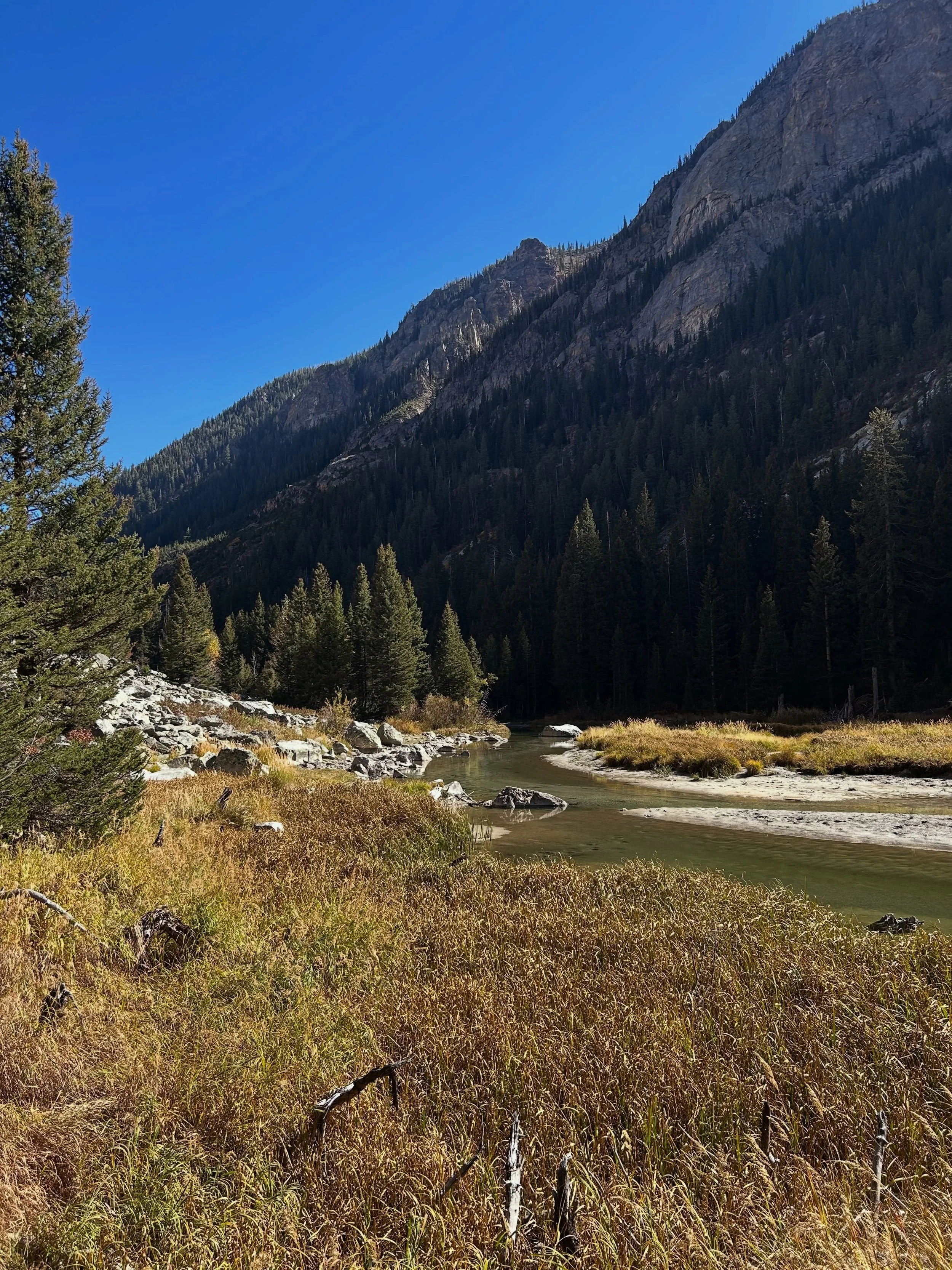 Out to Grand Tetons National Park 🏔️🫎✈️