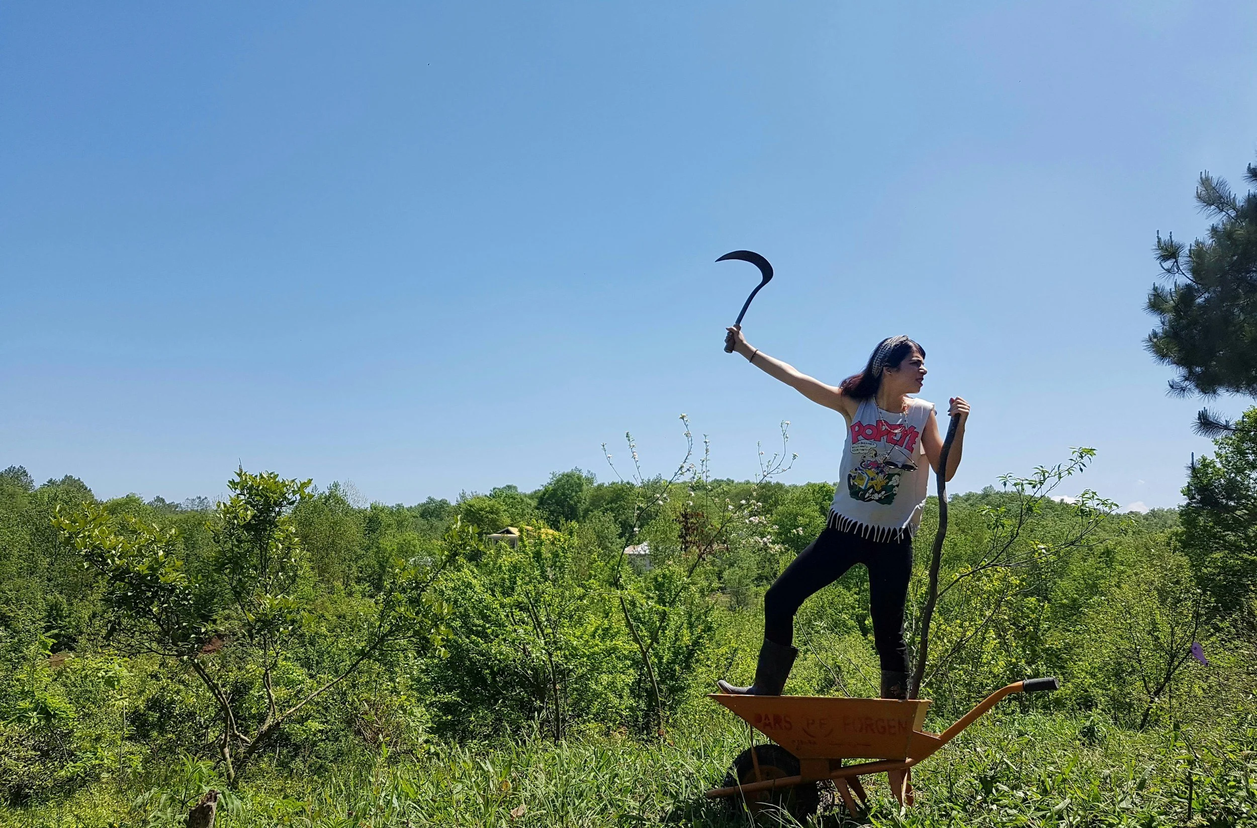 Gardening for Busy People: A Love Letter from the Commute to the Compost