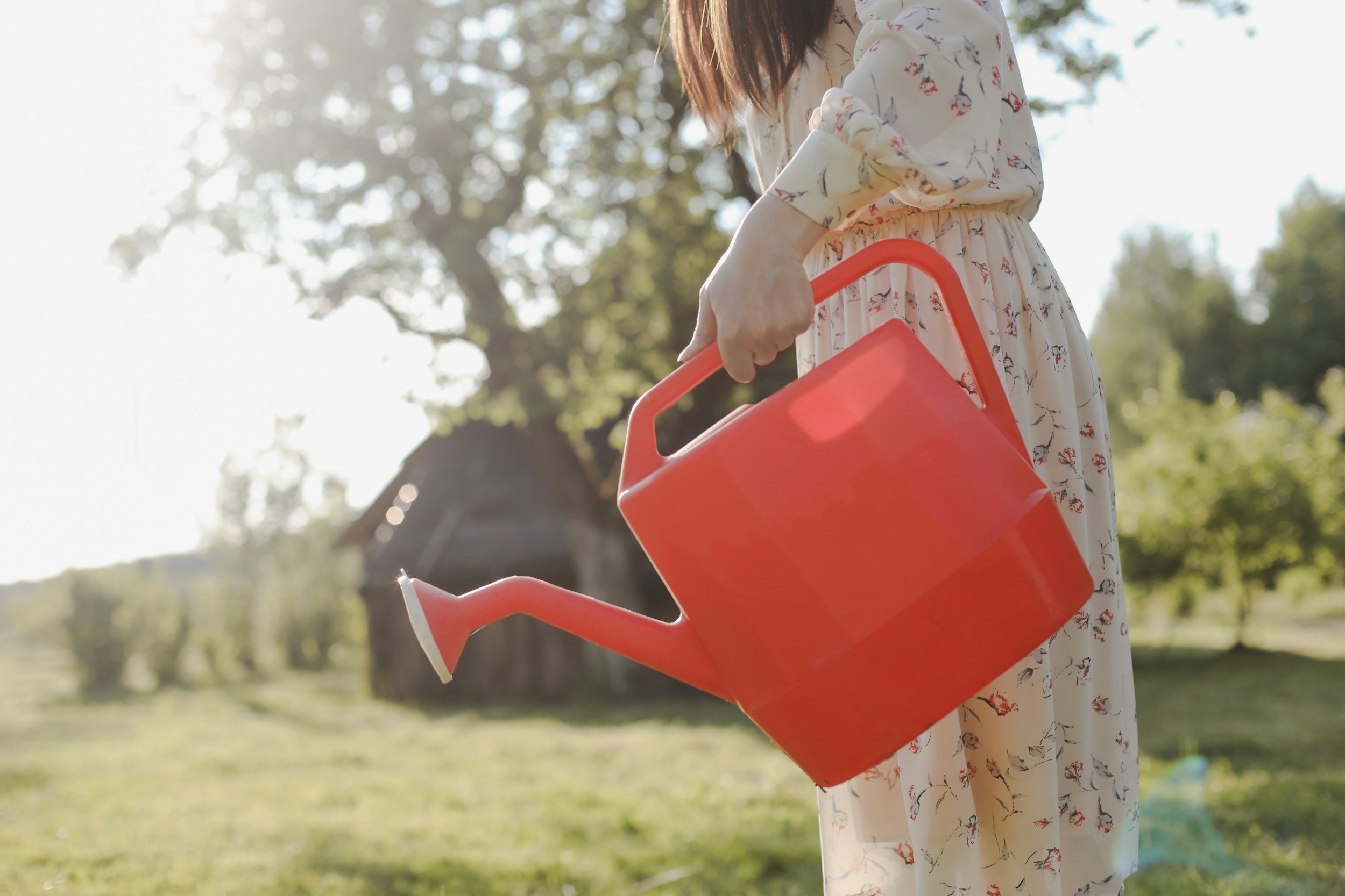 The Secret to Watering Less and Growing More