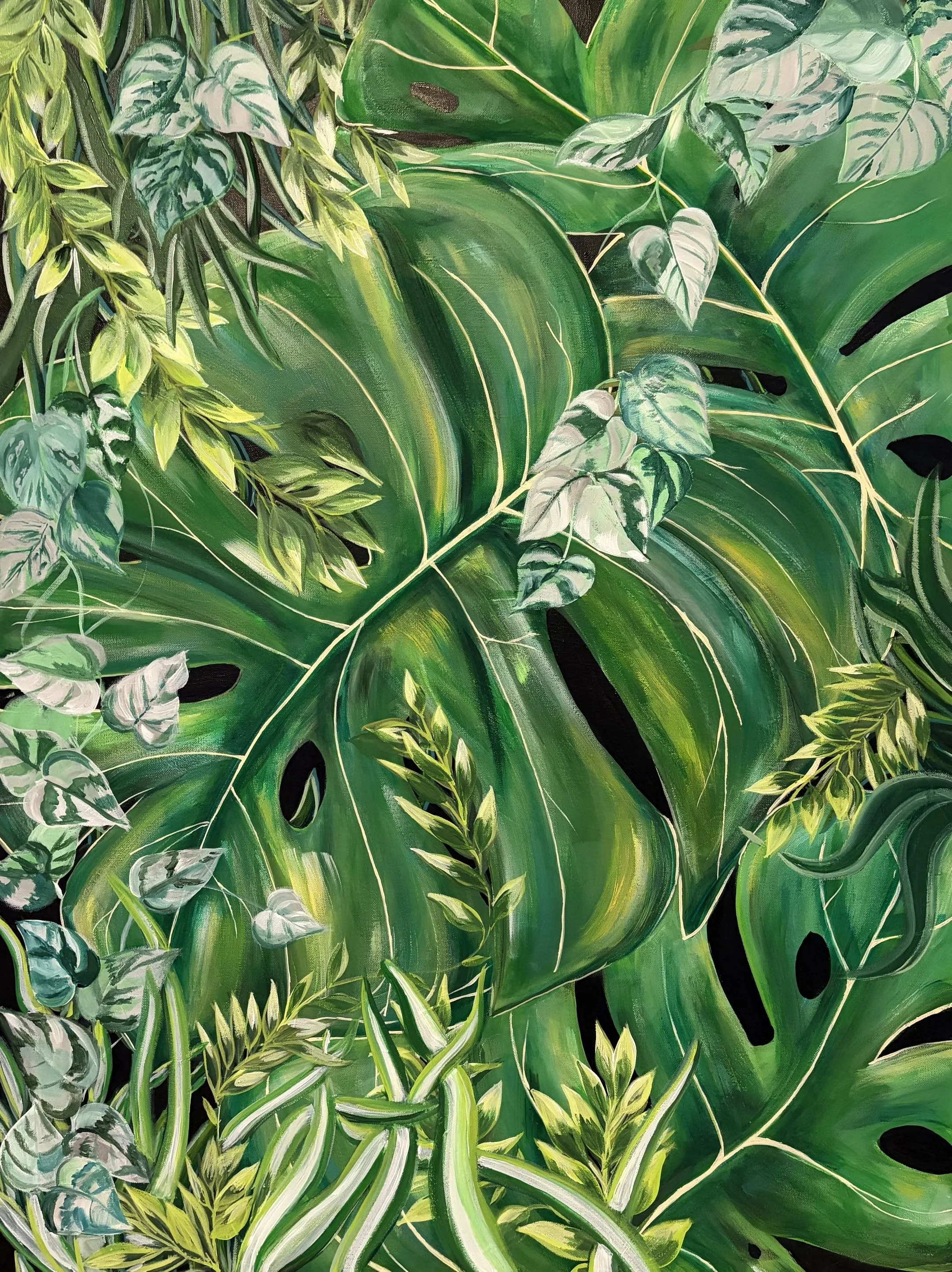 monstera.jpg