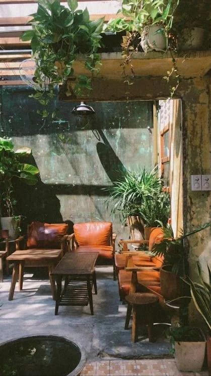 Indoor patio area with wooden chairs, a table, and green potted plants, with sunlight casting shadows on a weathered wall.