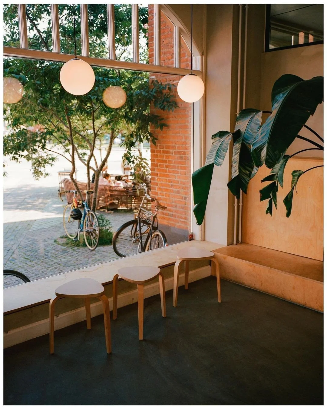 Interior view of a café with large windows, hanging spherical lights, a large leafy plant, and three small wooden stools by the window. Outside, bicycles are parked near a tree on a cobblestone street.