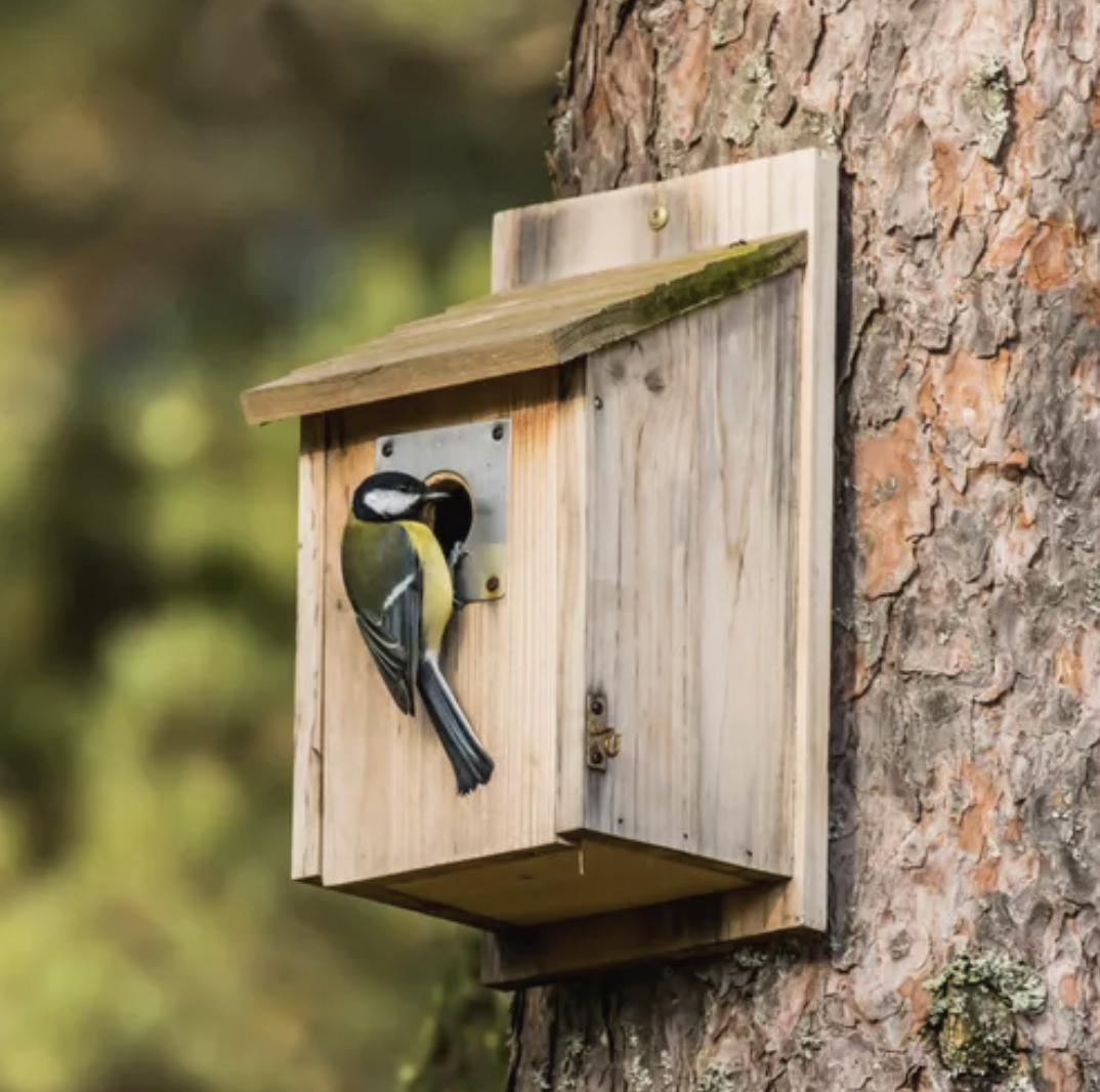 Vertical Birdhouse