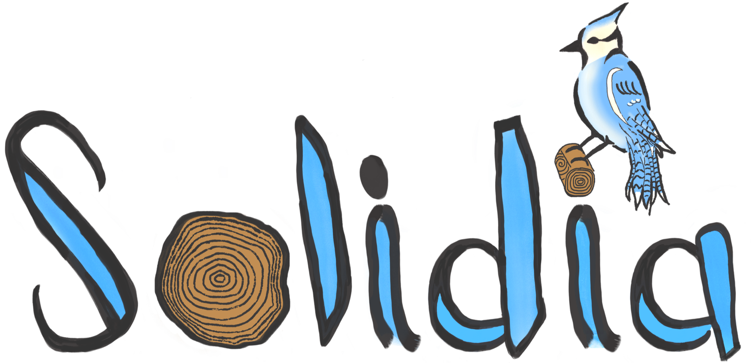 Solidia LLC