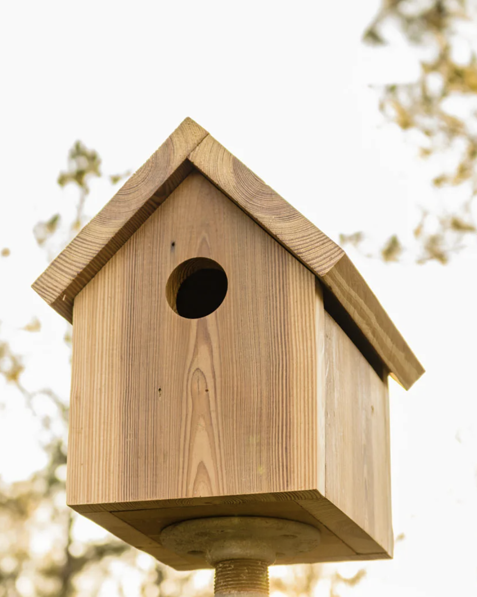 Cedar Birdhouse