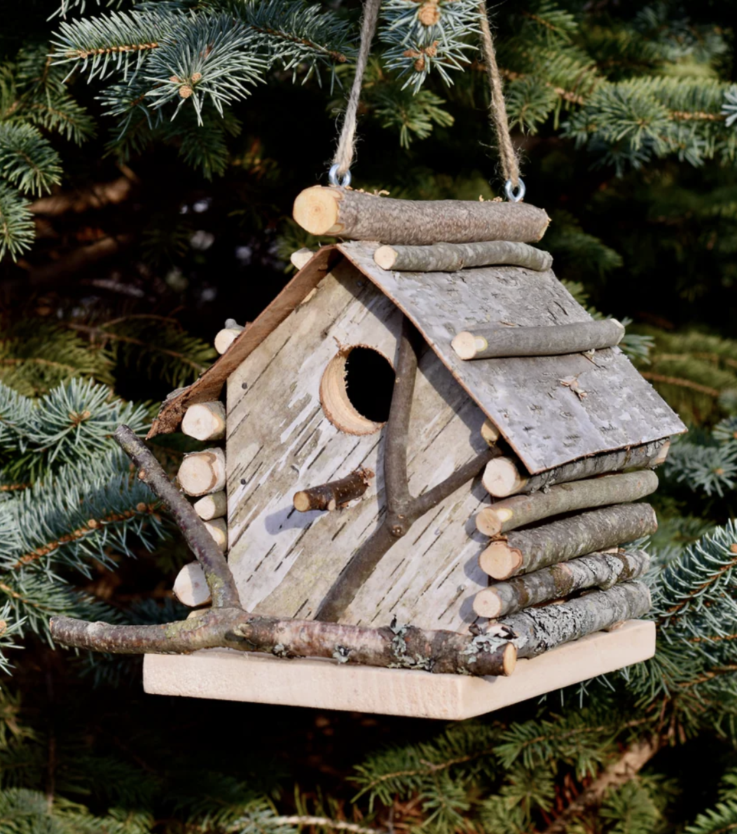 Forest Birdhouse