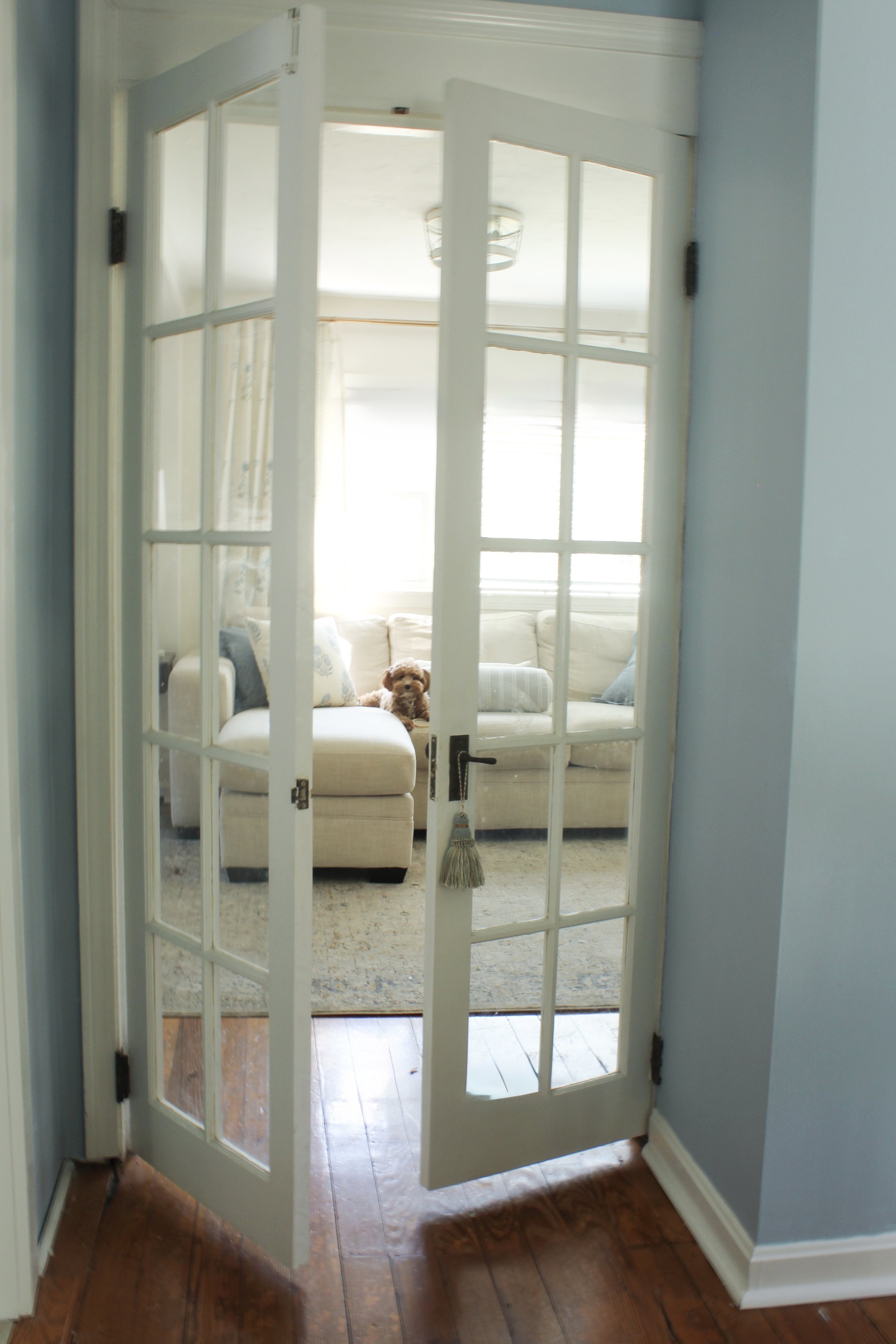View through a glass-paneled door into a living room with a beige sofa, cushions, a window with white curtains, and a small dog sitting on the sofa.