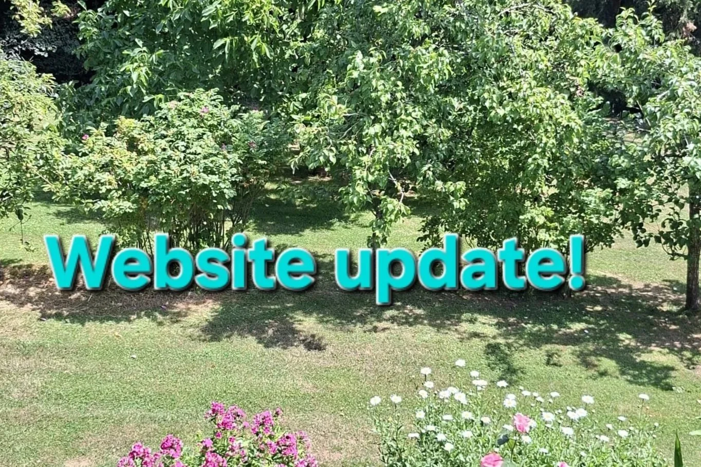 Website update
