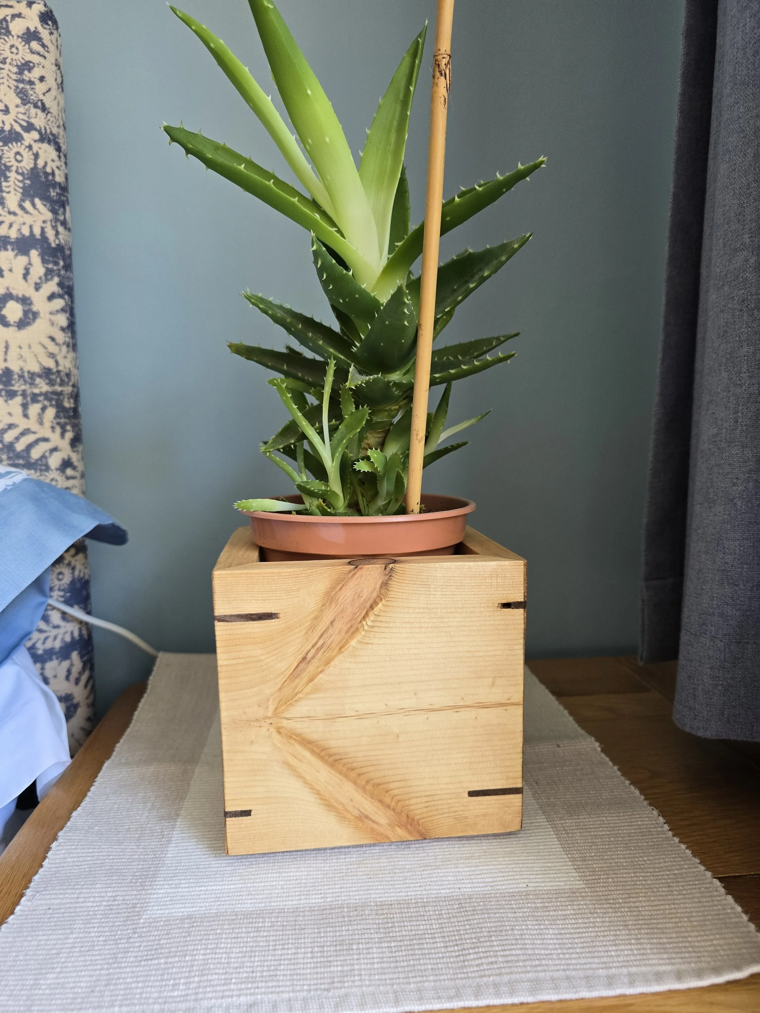Indoor Redwood Pine Plant Holder