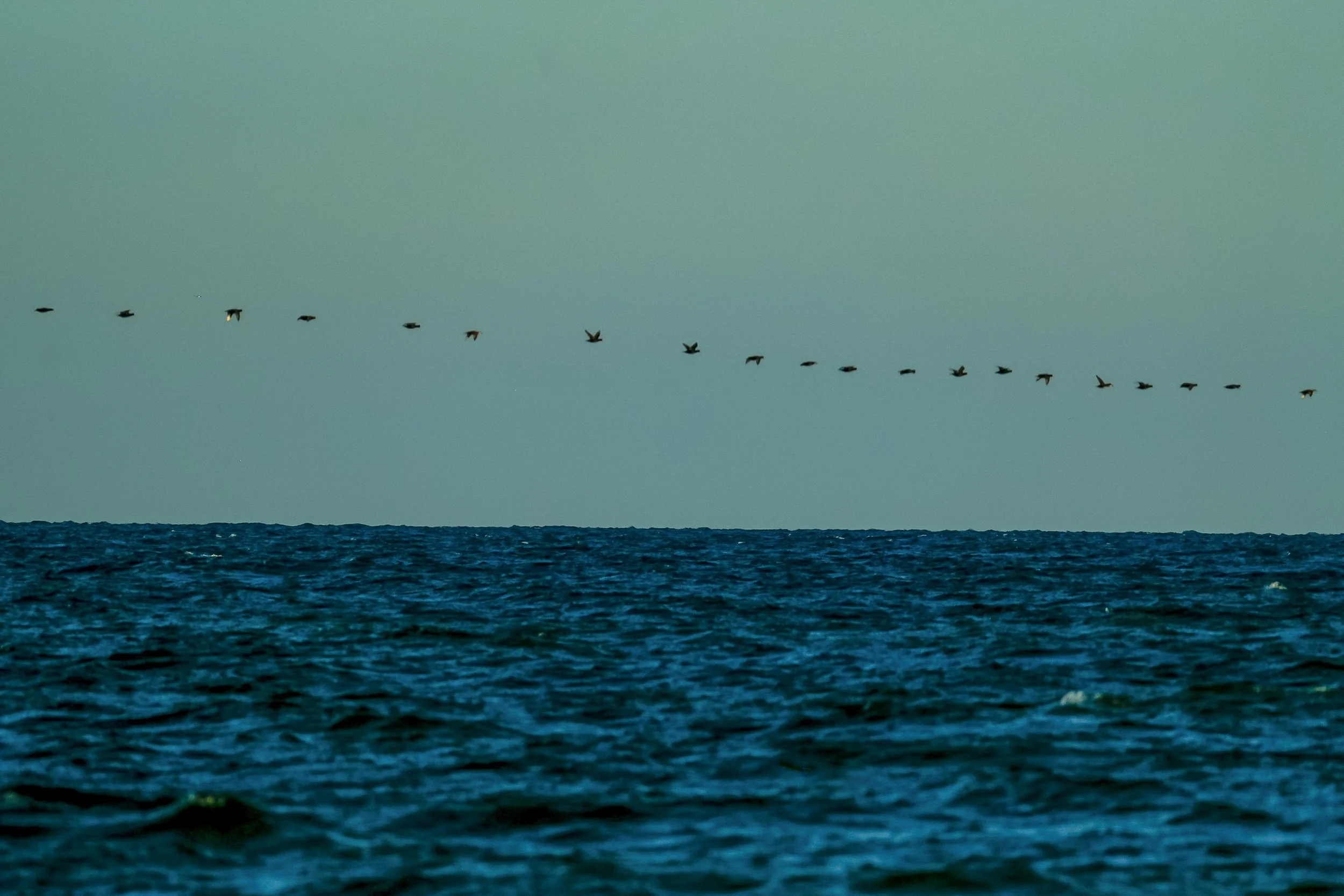 DSCF5767.JPG
