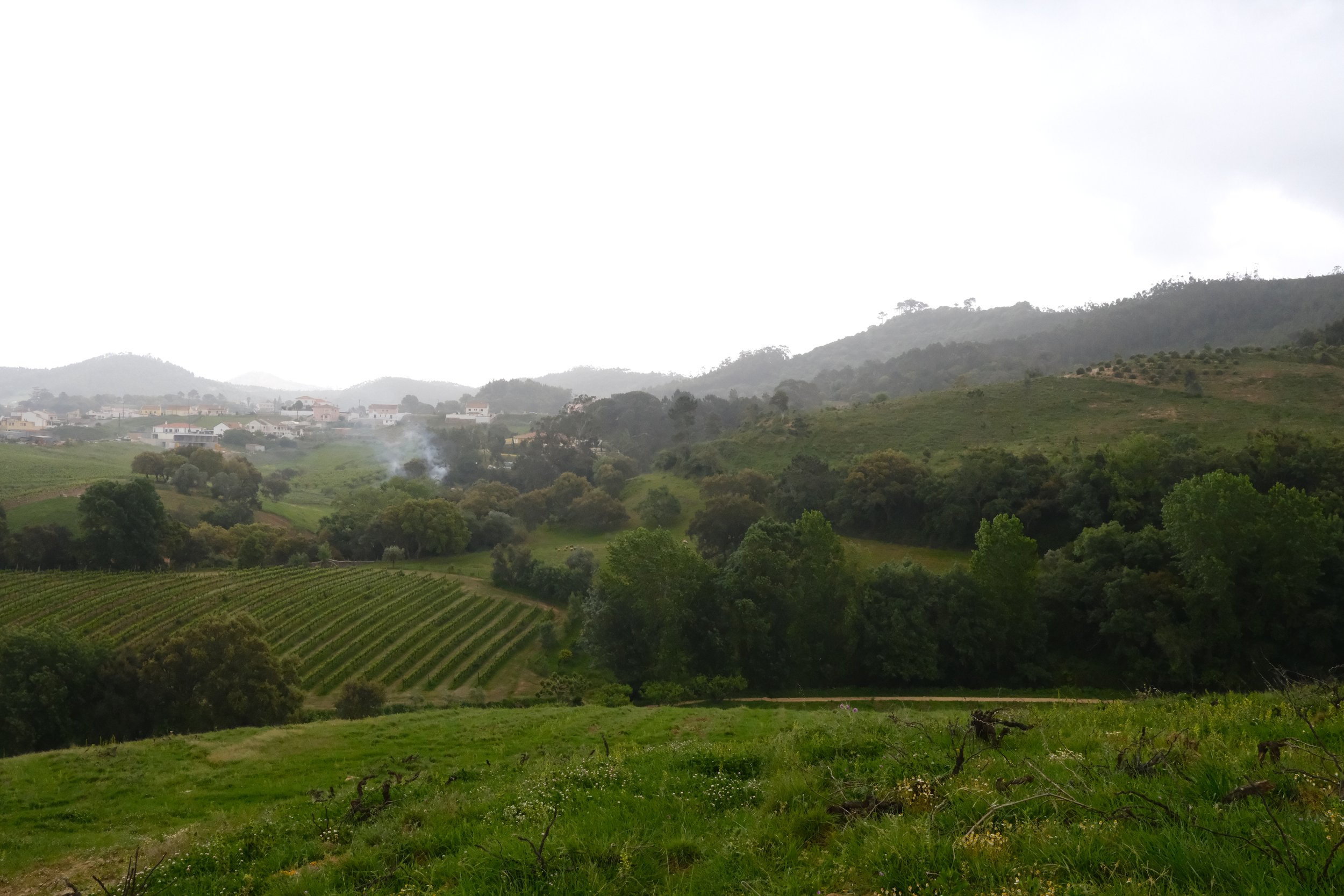 DSCF1771.JPG