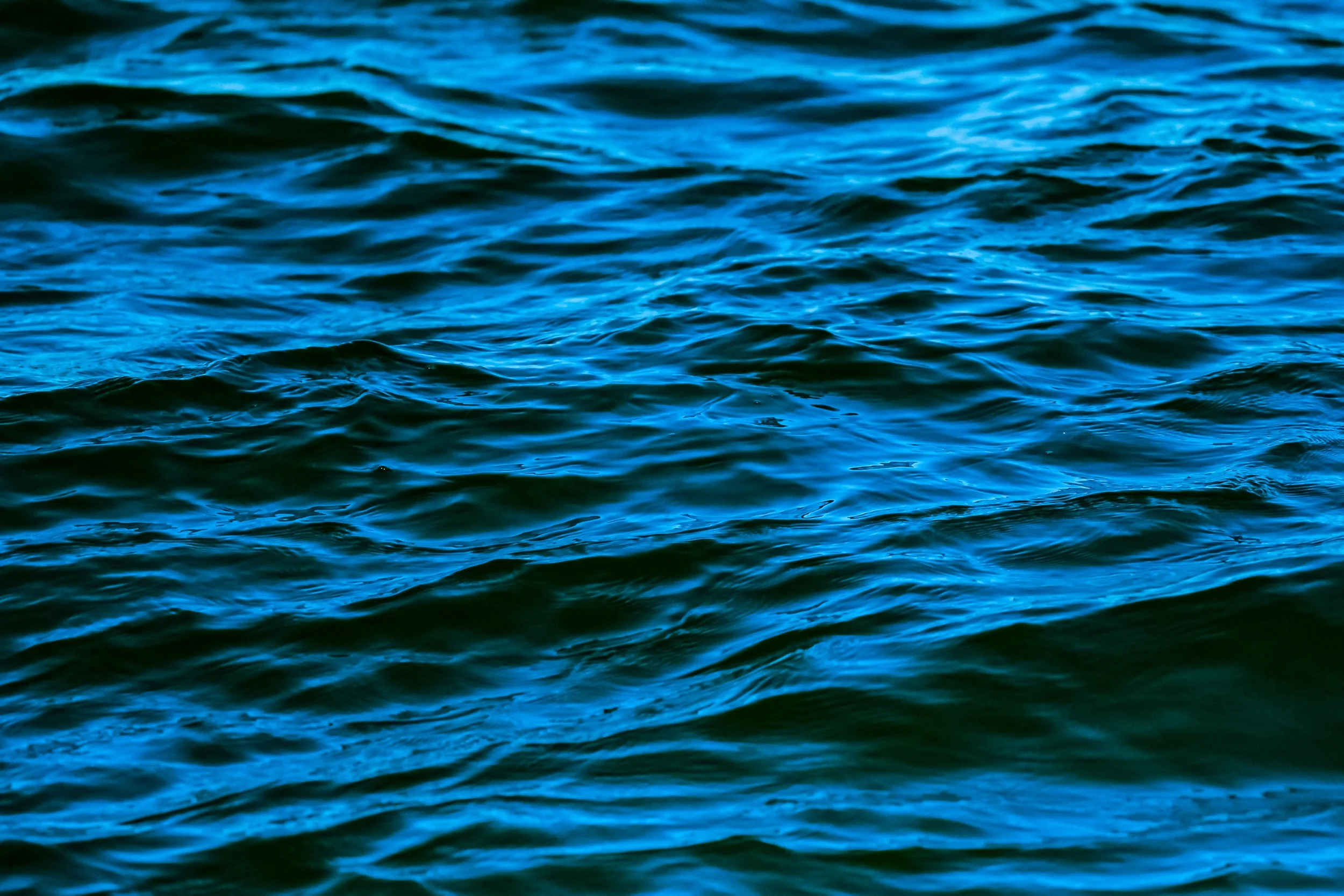 DSCF5255 copy.jpg