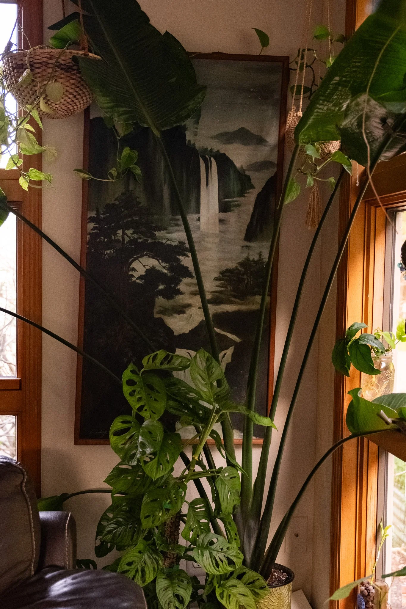 DSCF2480.jpg
