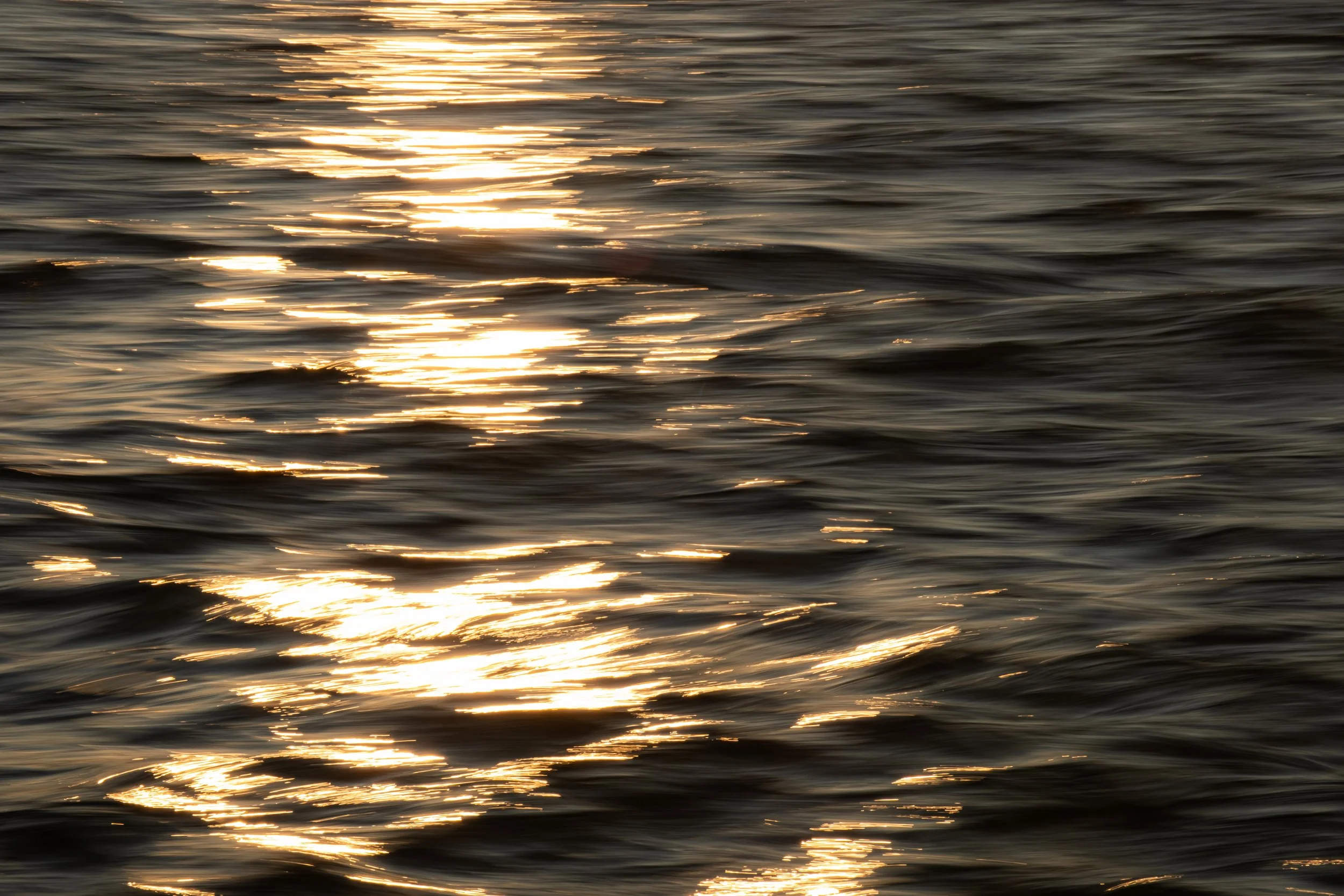 DSCF2301.jpg